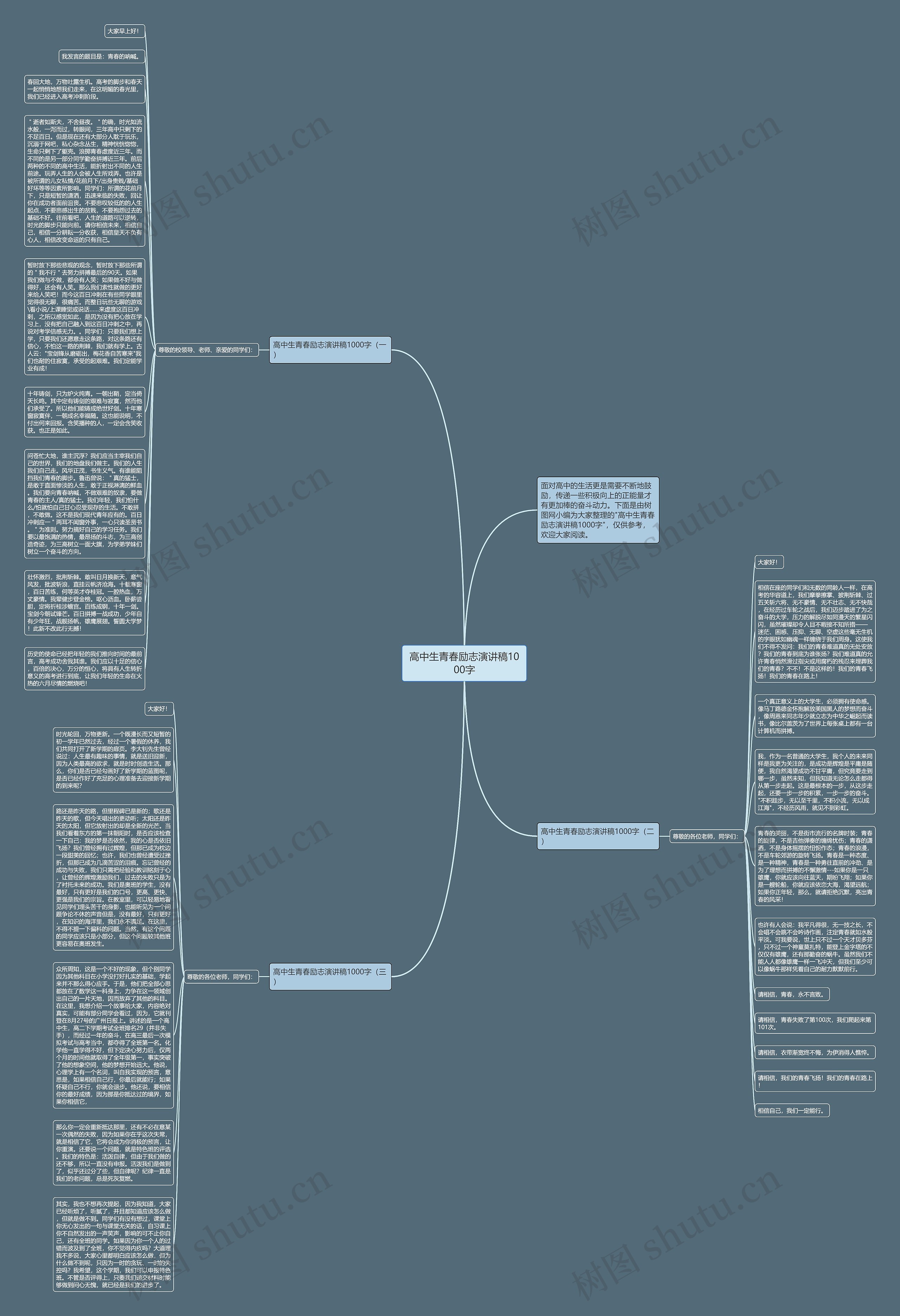 高中生青春励志演讲稿1000字思维导图