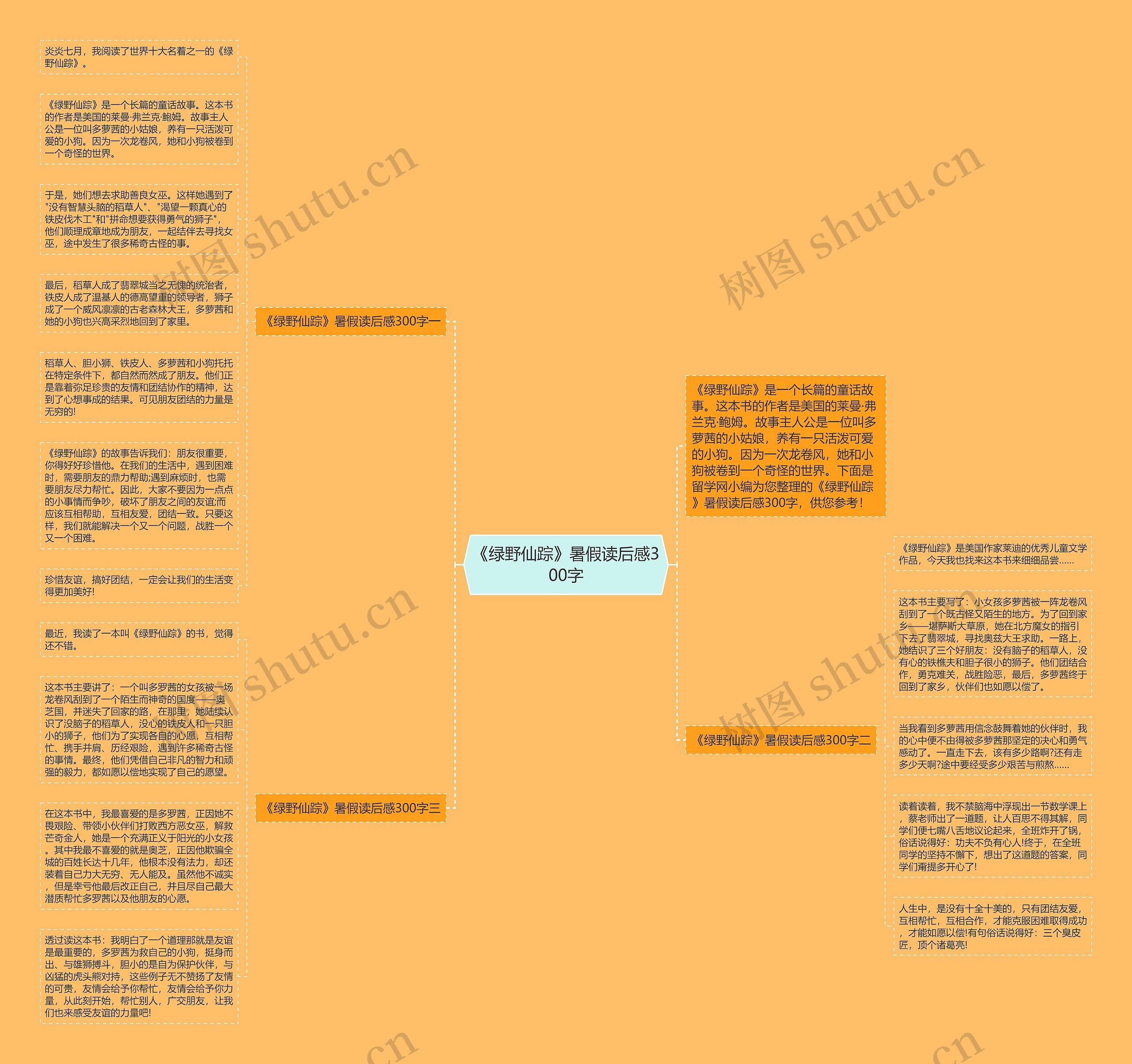 《绿野仙踪》暑假读后感300字思维导图