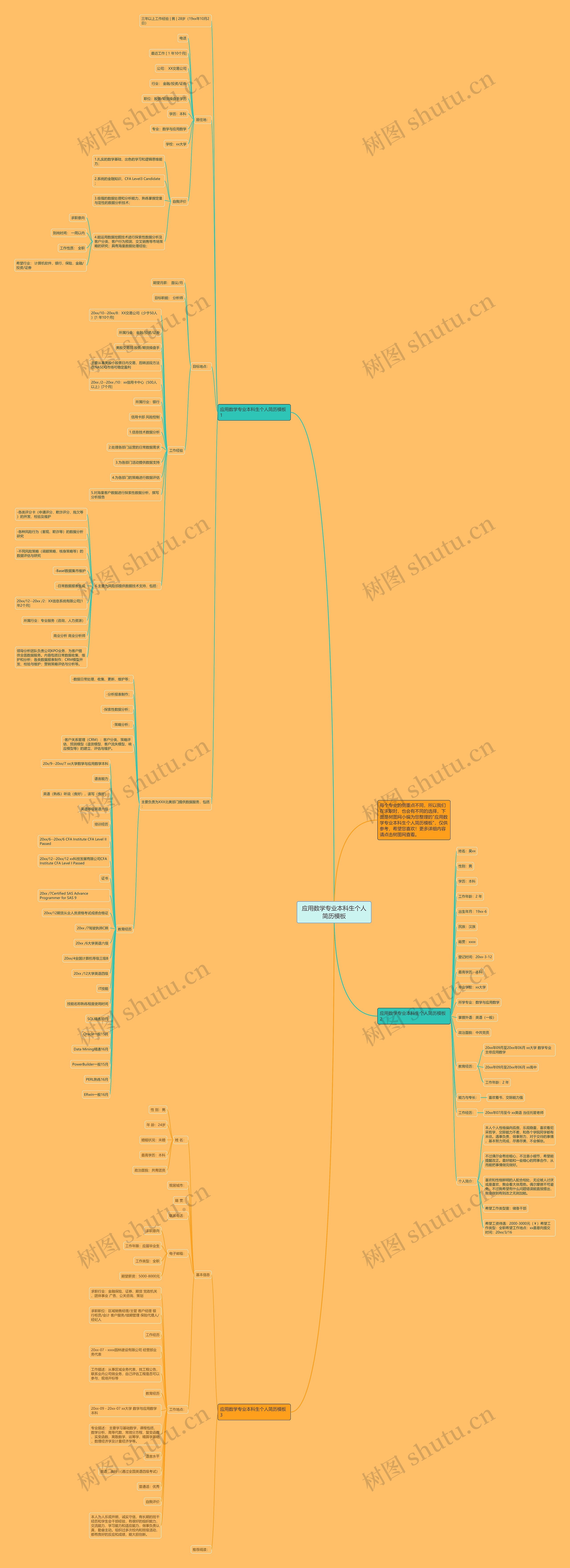 应用数学专业本科生个人简历思维导图