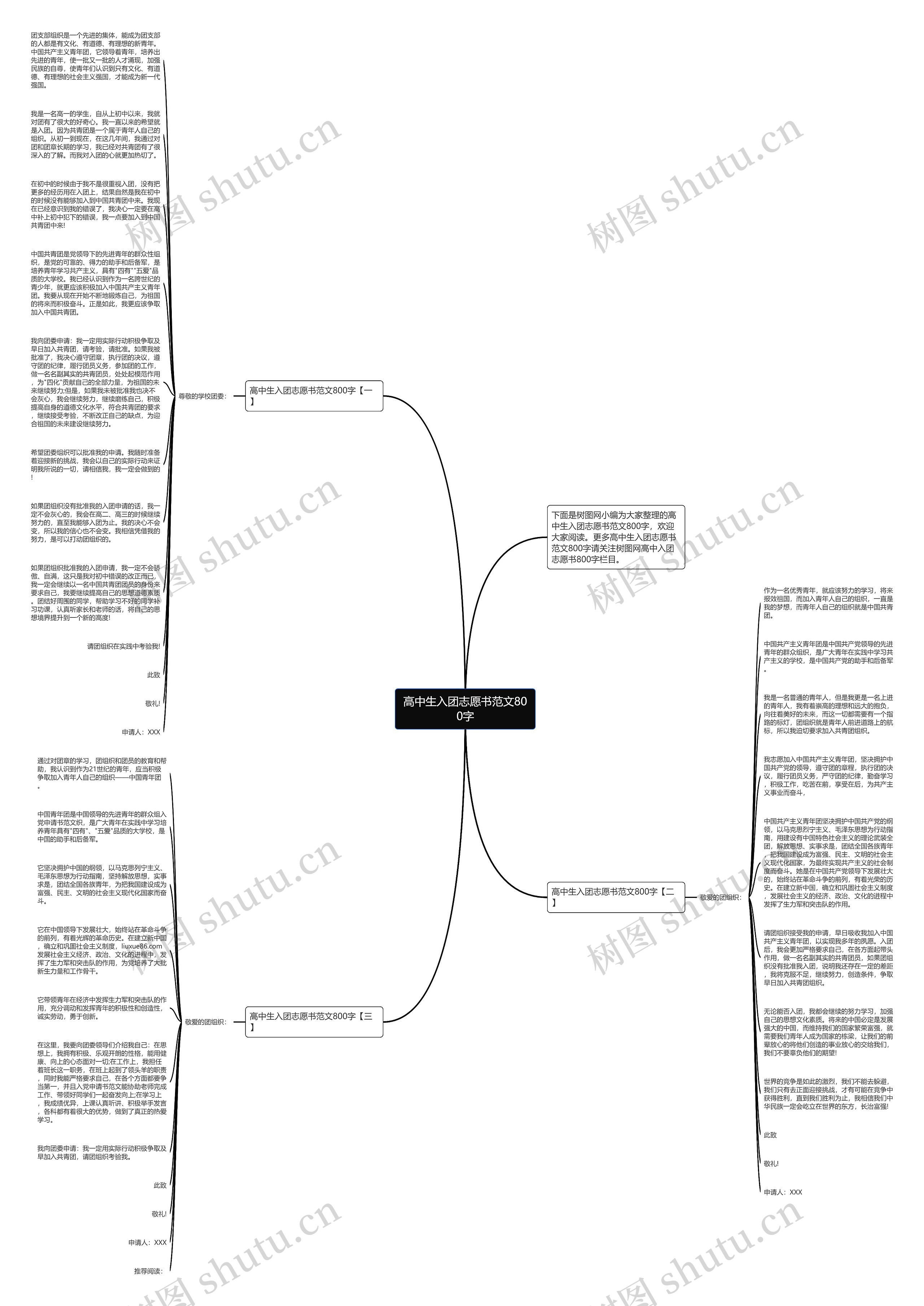 高中生入团志愿书范文800字