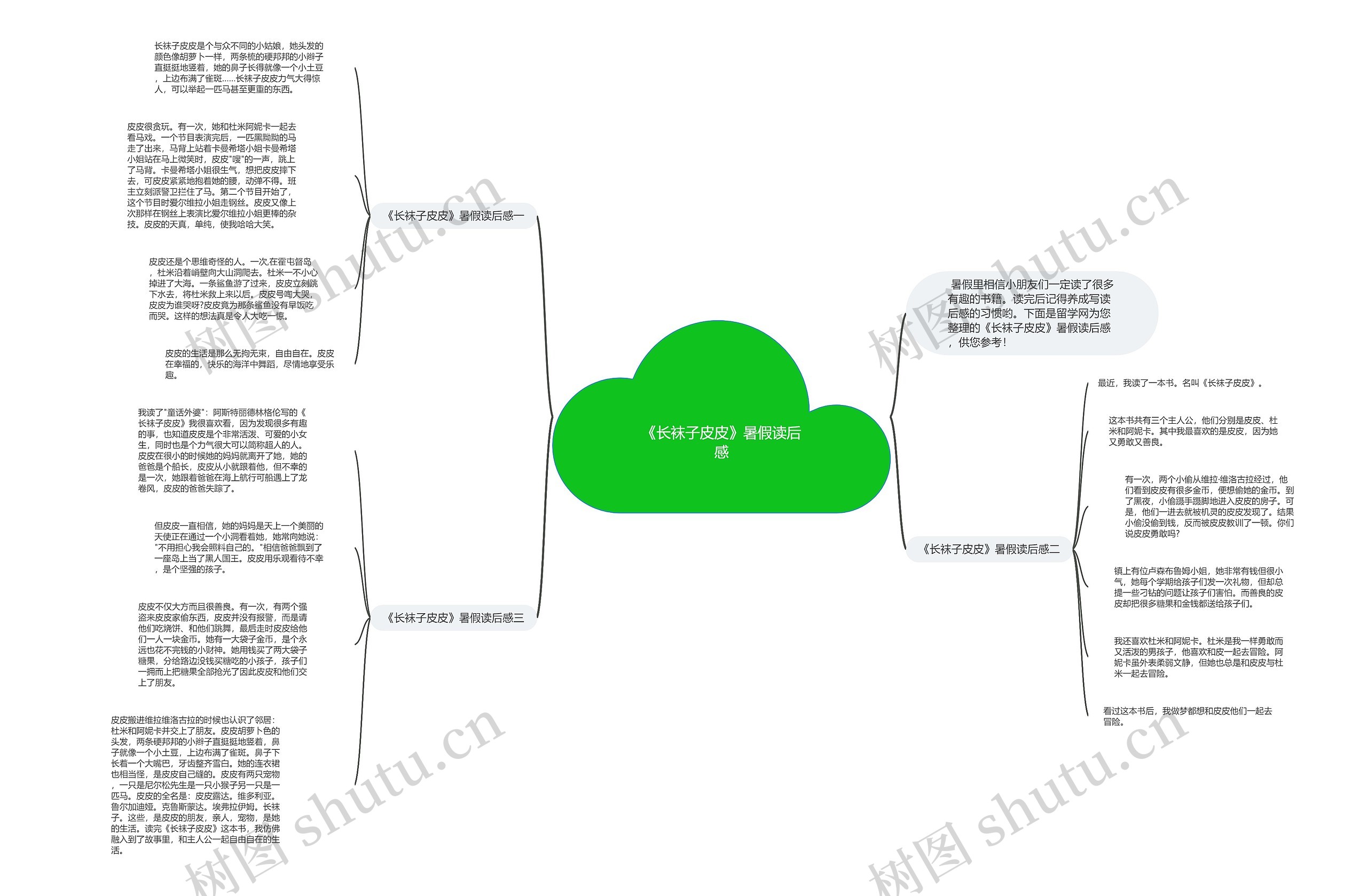 《长袜子皮皮》暑假读后感思维导图