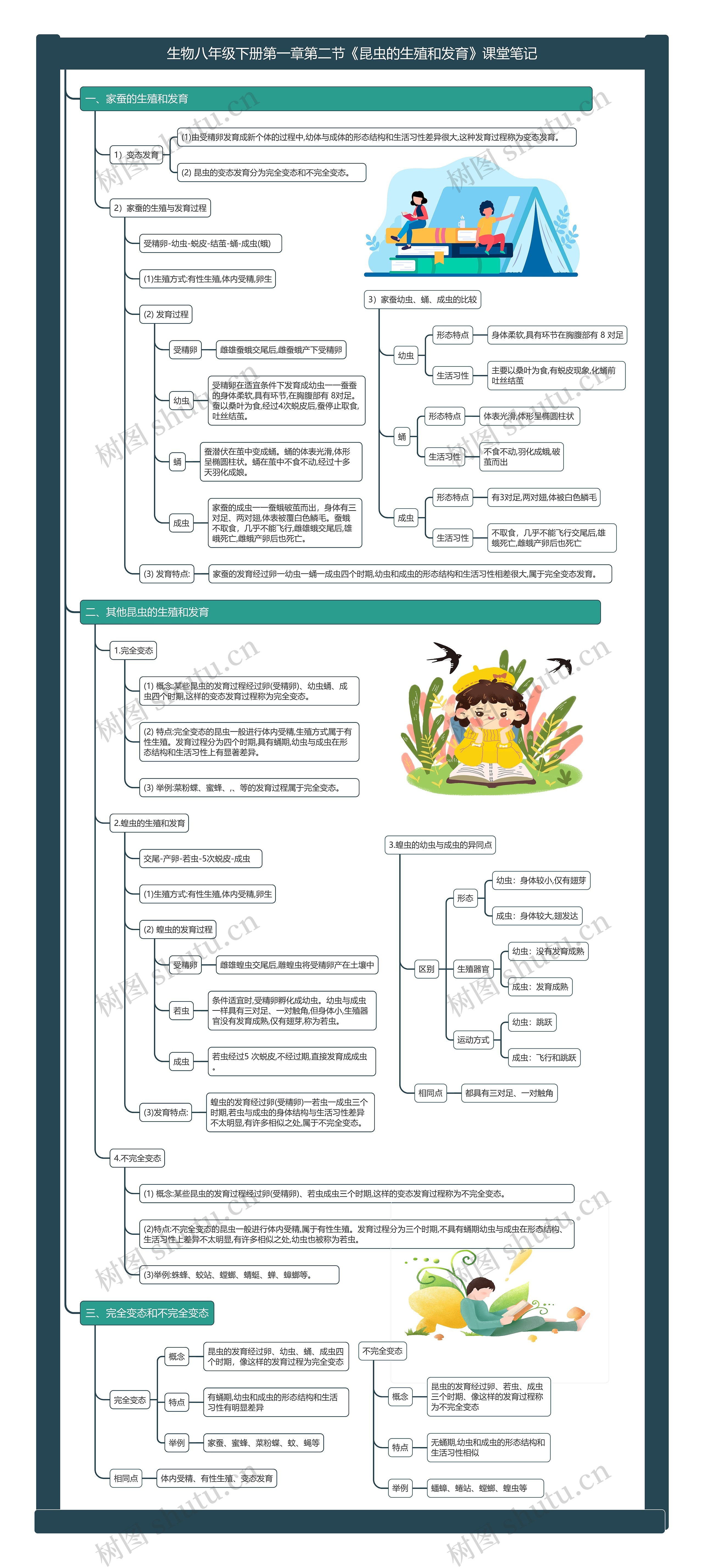 生物八年级下册第一章第二节《昆虫的生殖和发育》课堂笔记思维导图