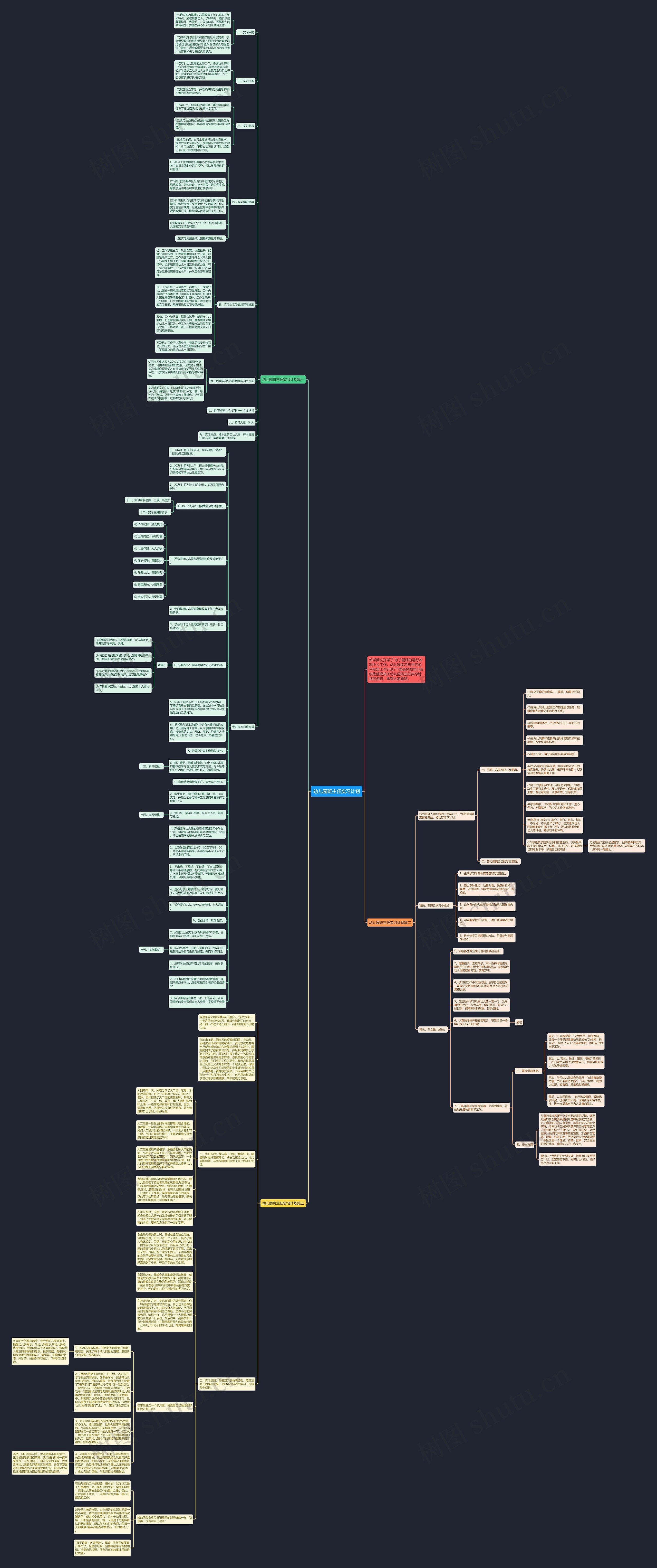 幼儿园班主任实习计划思维导图