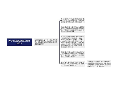 大学毕业生试用期工作计划范文