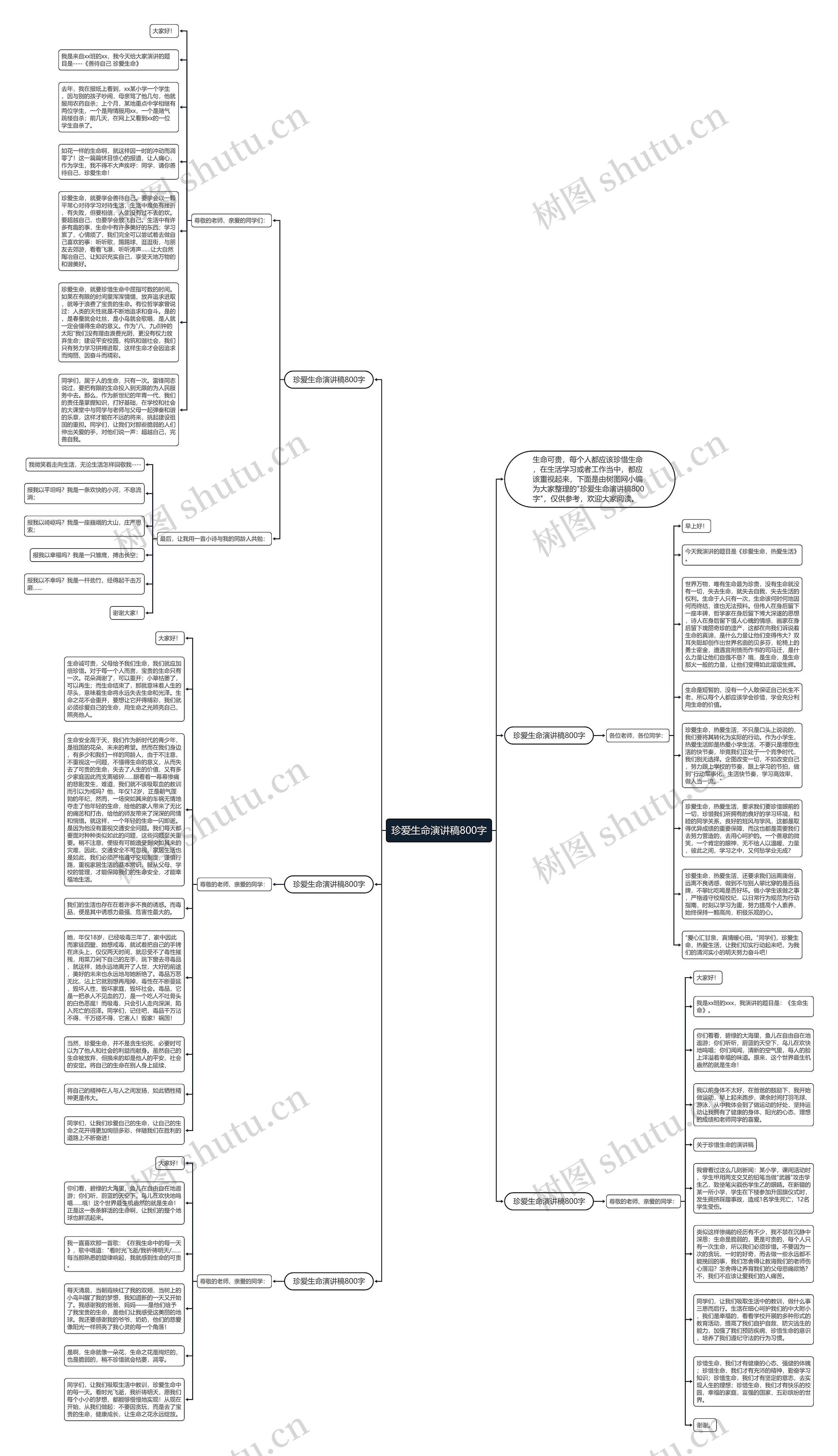 珍爱生命演讲稿800字思维导图