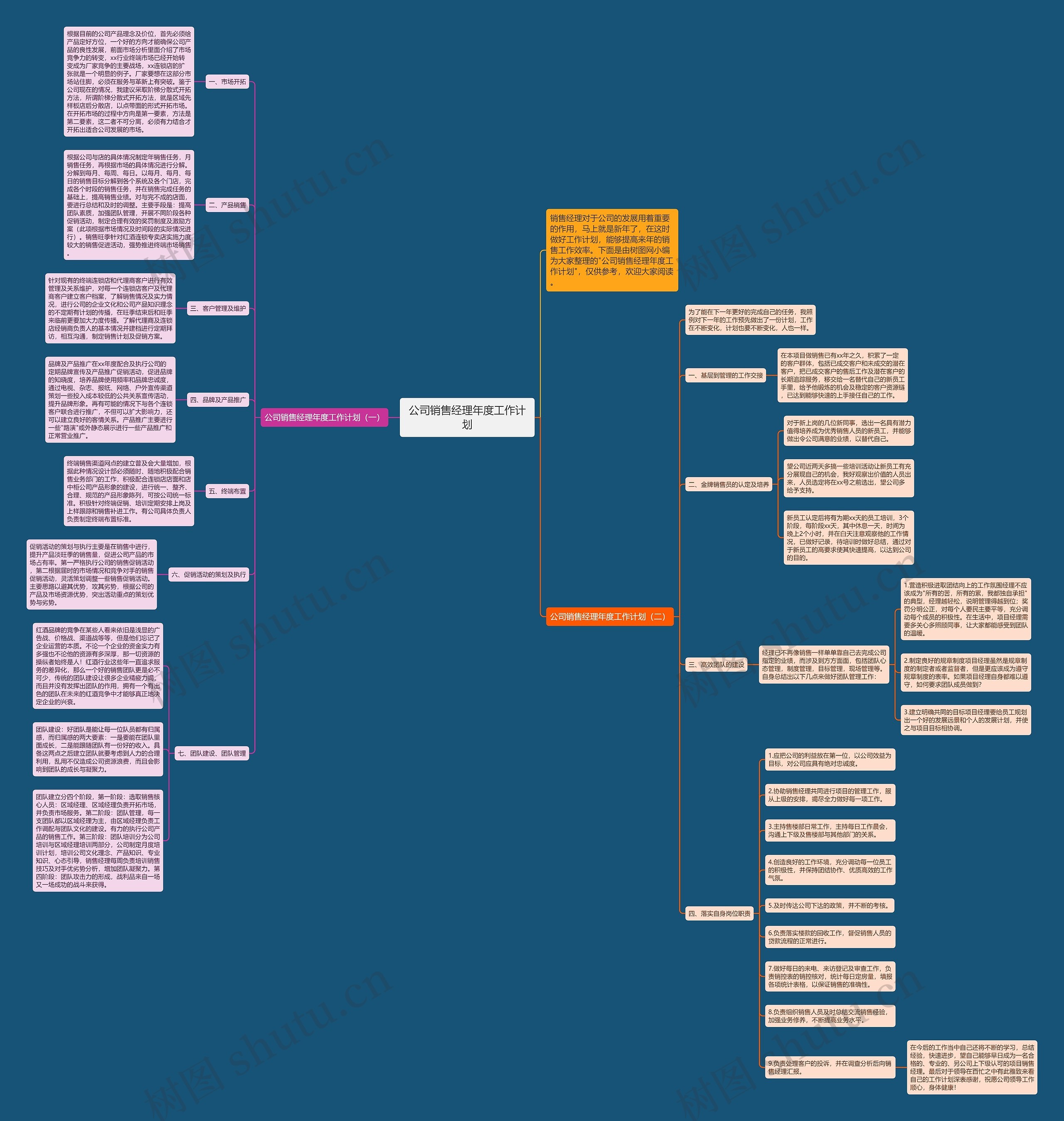 公司销售经理年度工作计划思维导图