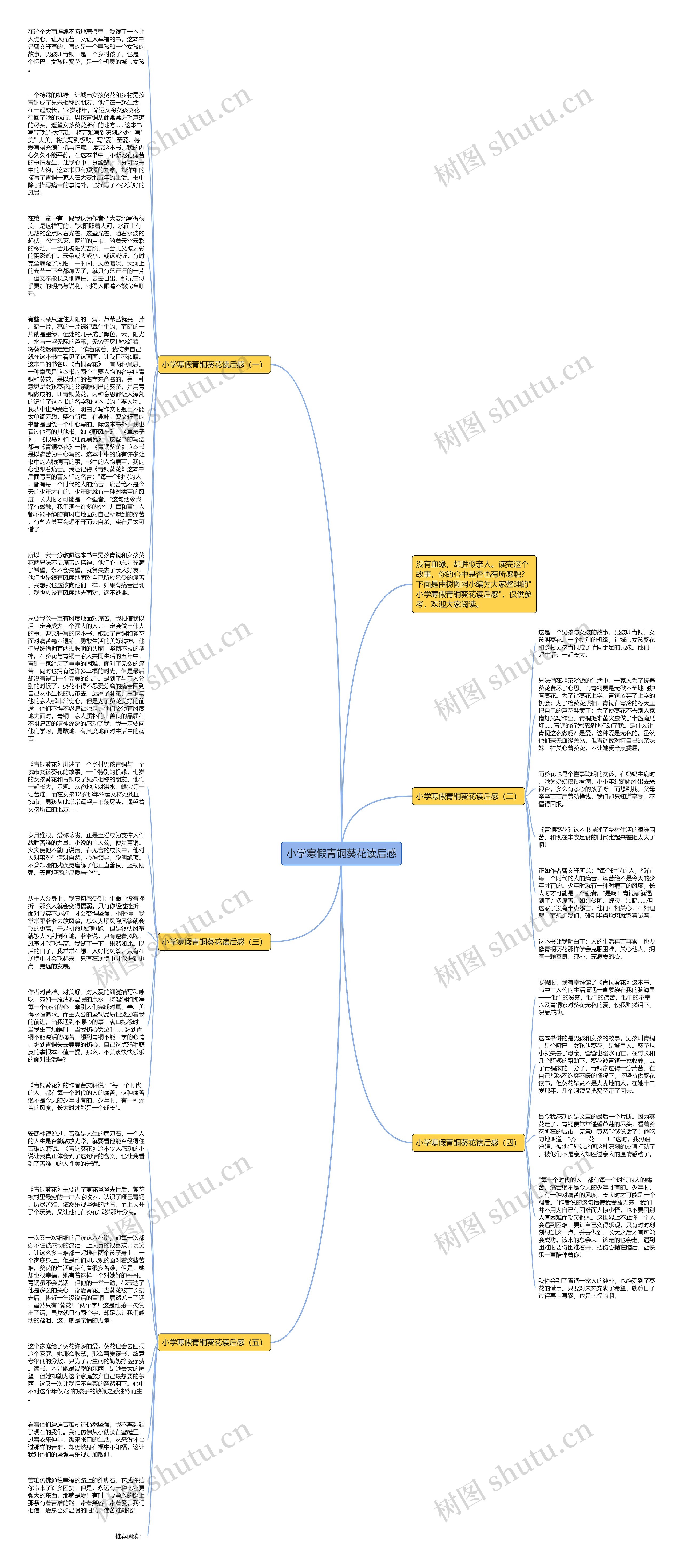 小学寒假青铜葵花读后感思维导图