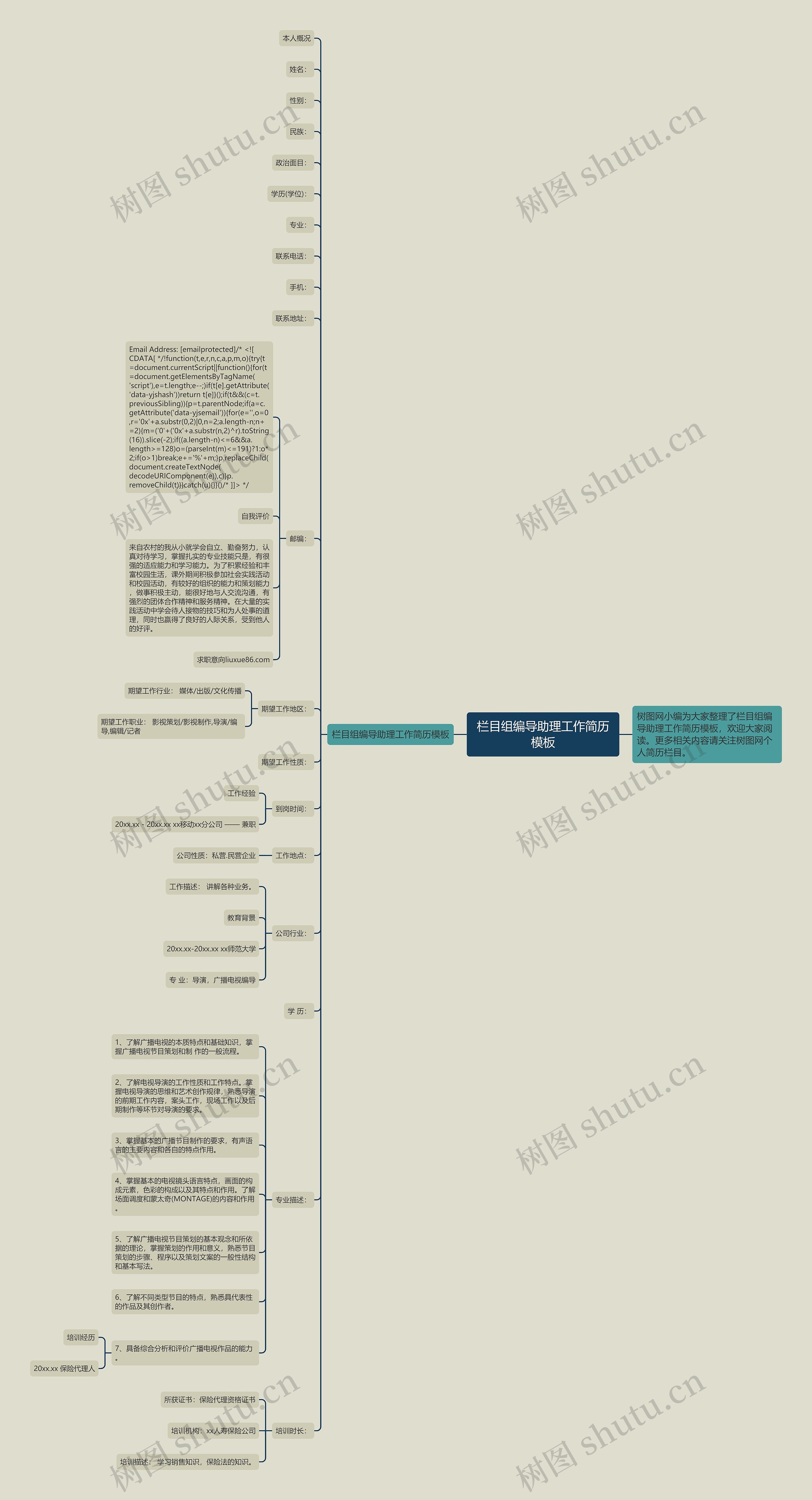 栏目组编导助理工作简历思维导图