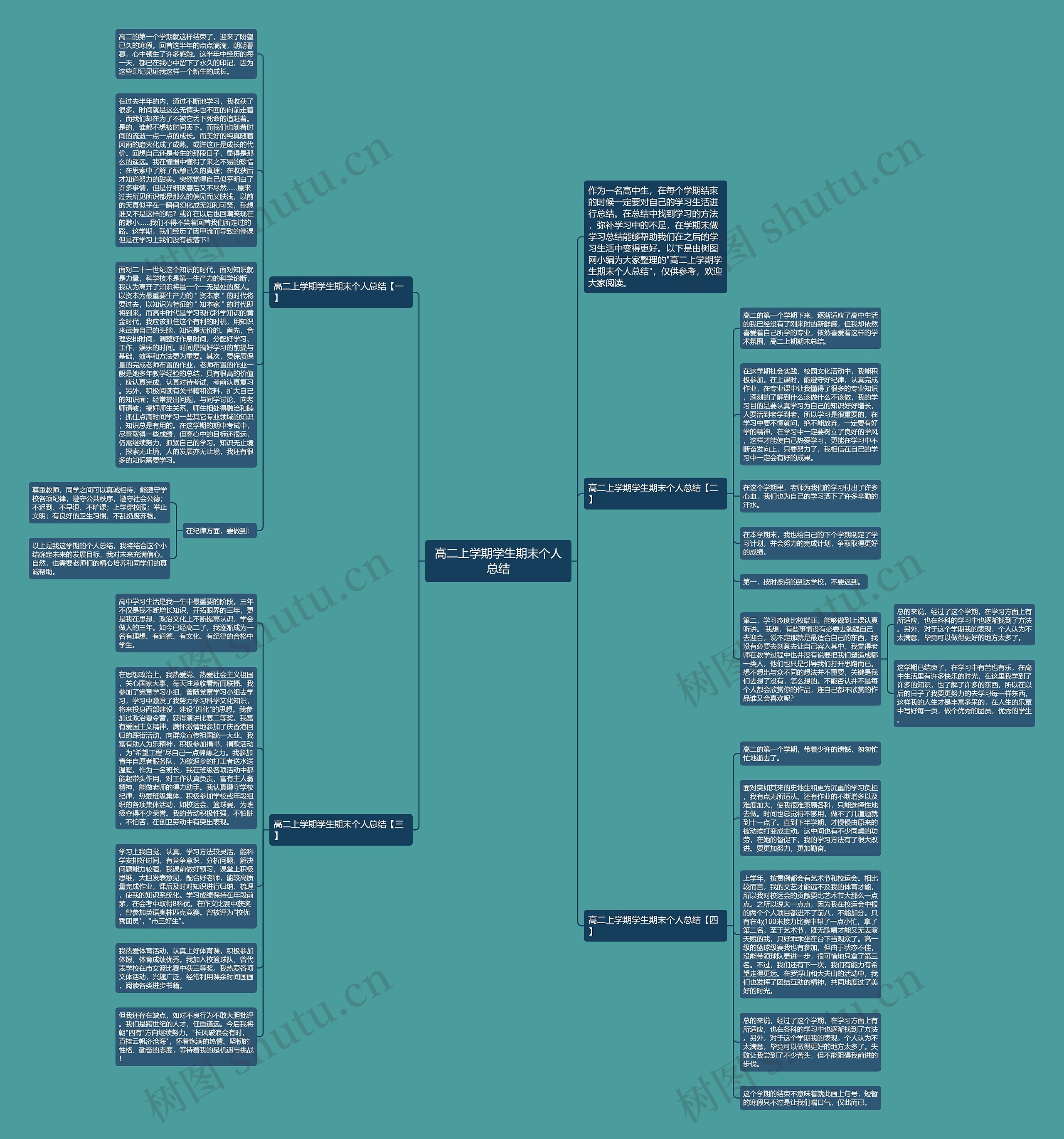 高二上学期学生期末个人总结思维导图