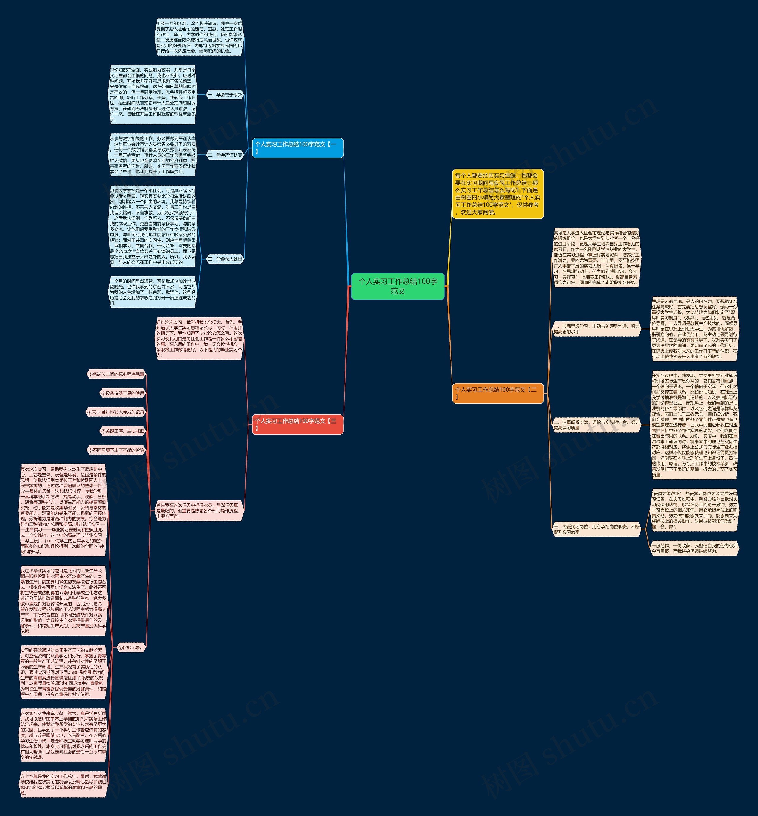个人实习工作总结100字范文思维导图