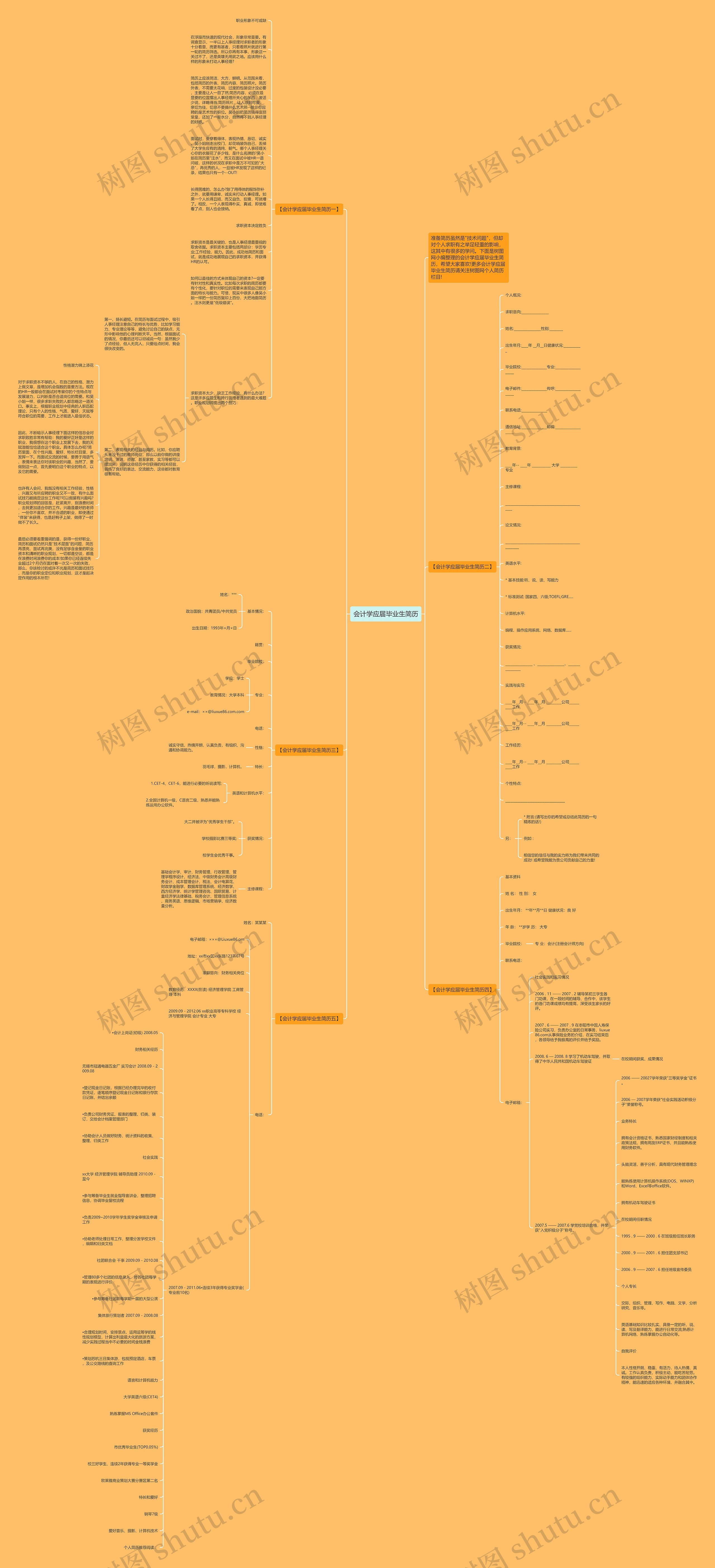 会计学应届毕业生简历思维导图