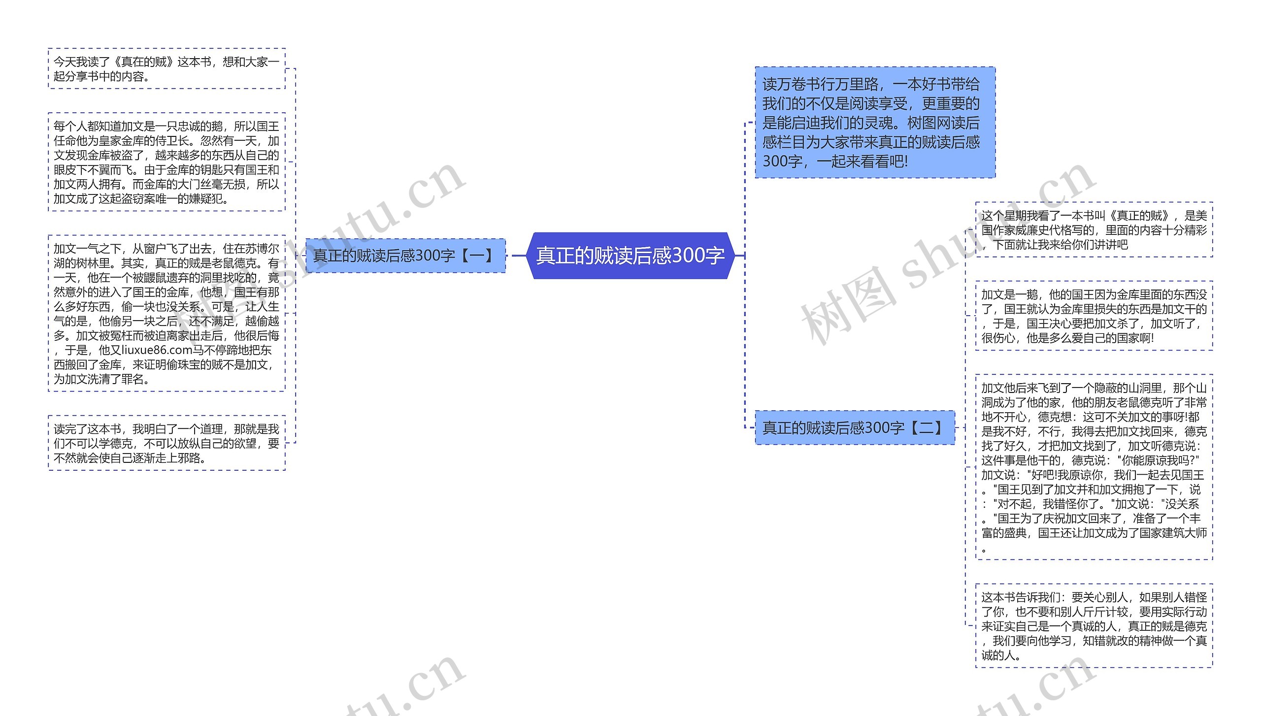 真正的贼读后感300字思维导图