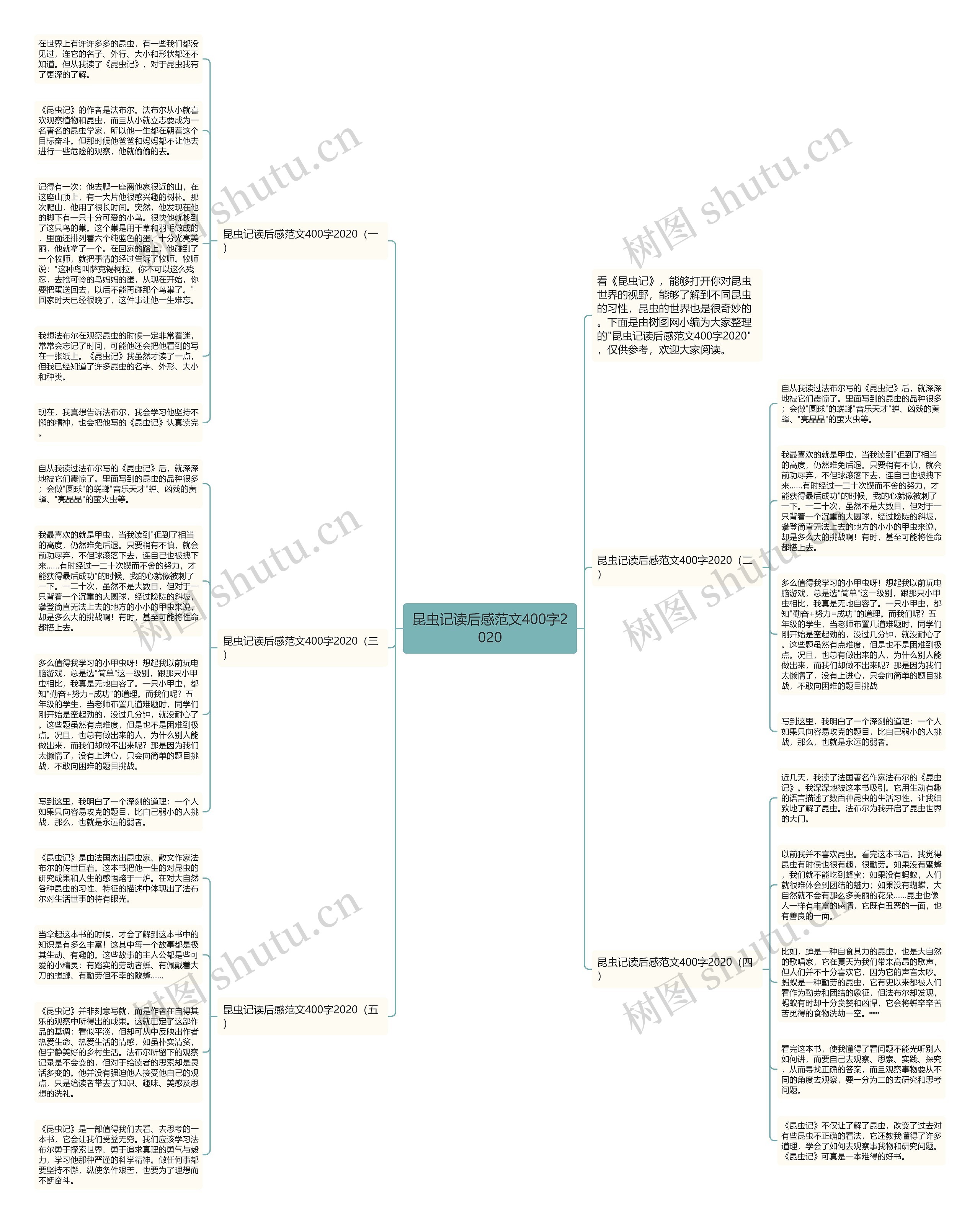 昆虫记读后感范文400字2020思维导图