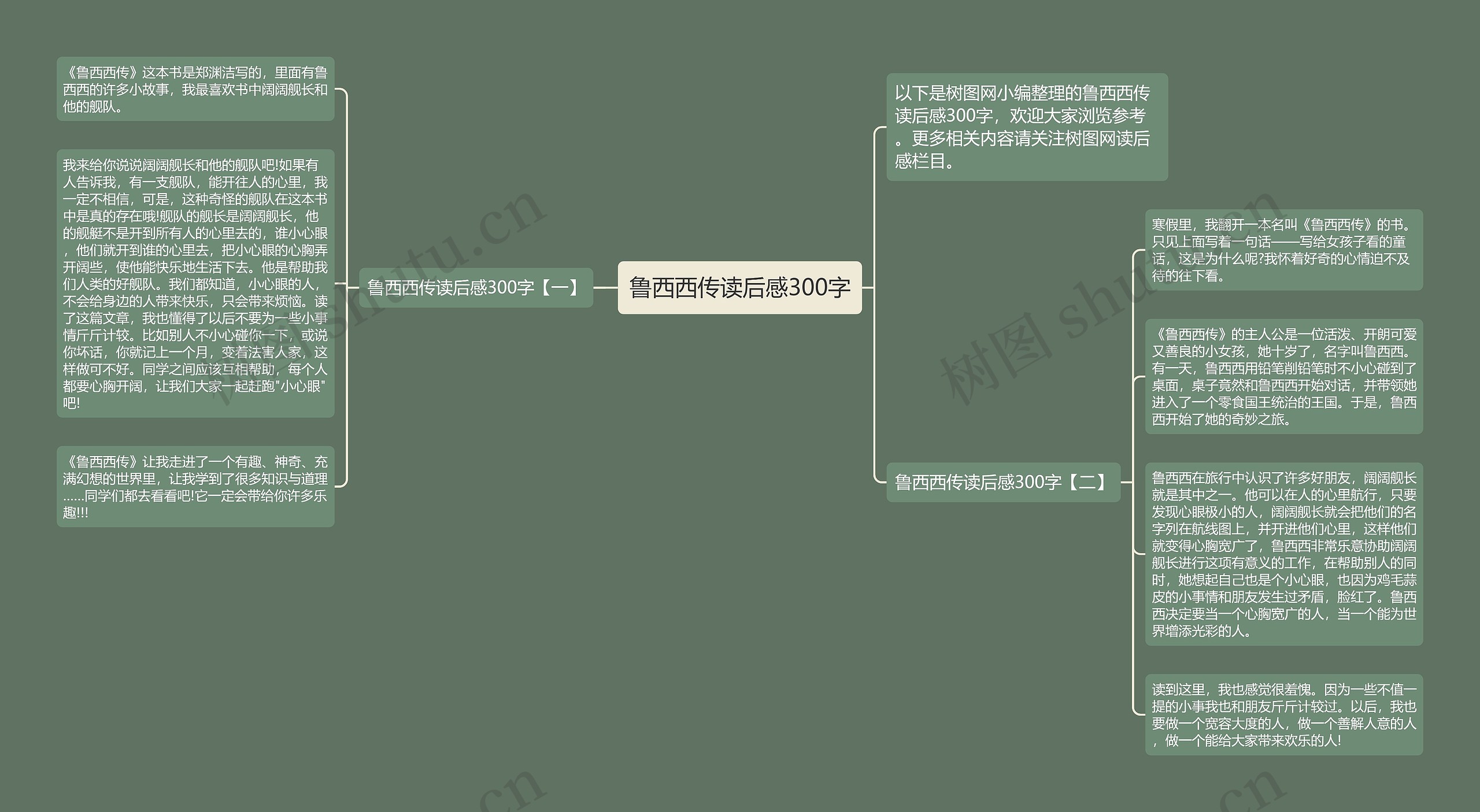 鲁西西传读后感300字思维导图