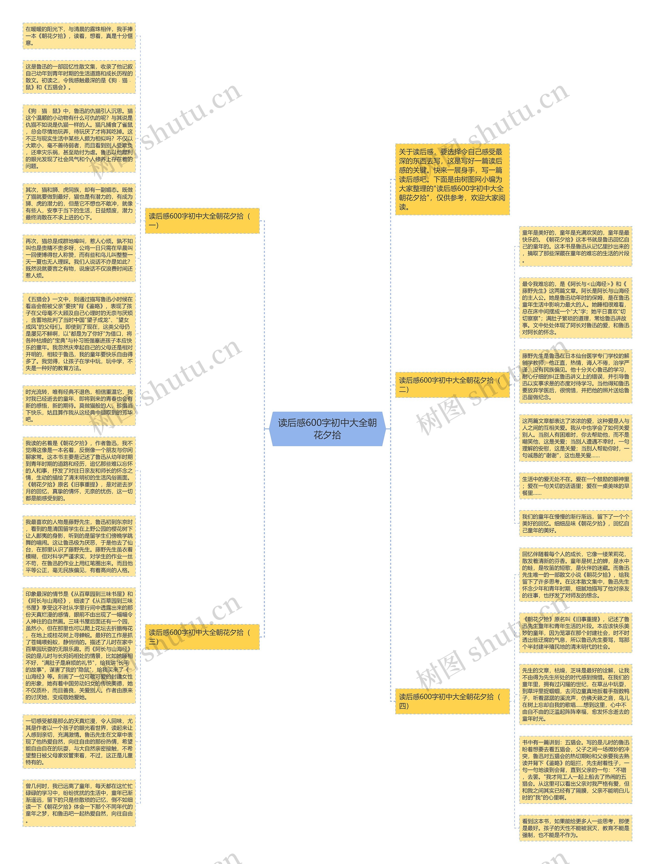 读后感600字初中大全朝花夕拾思维导图