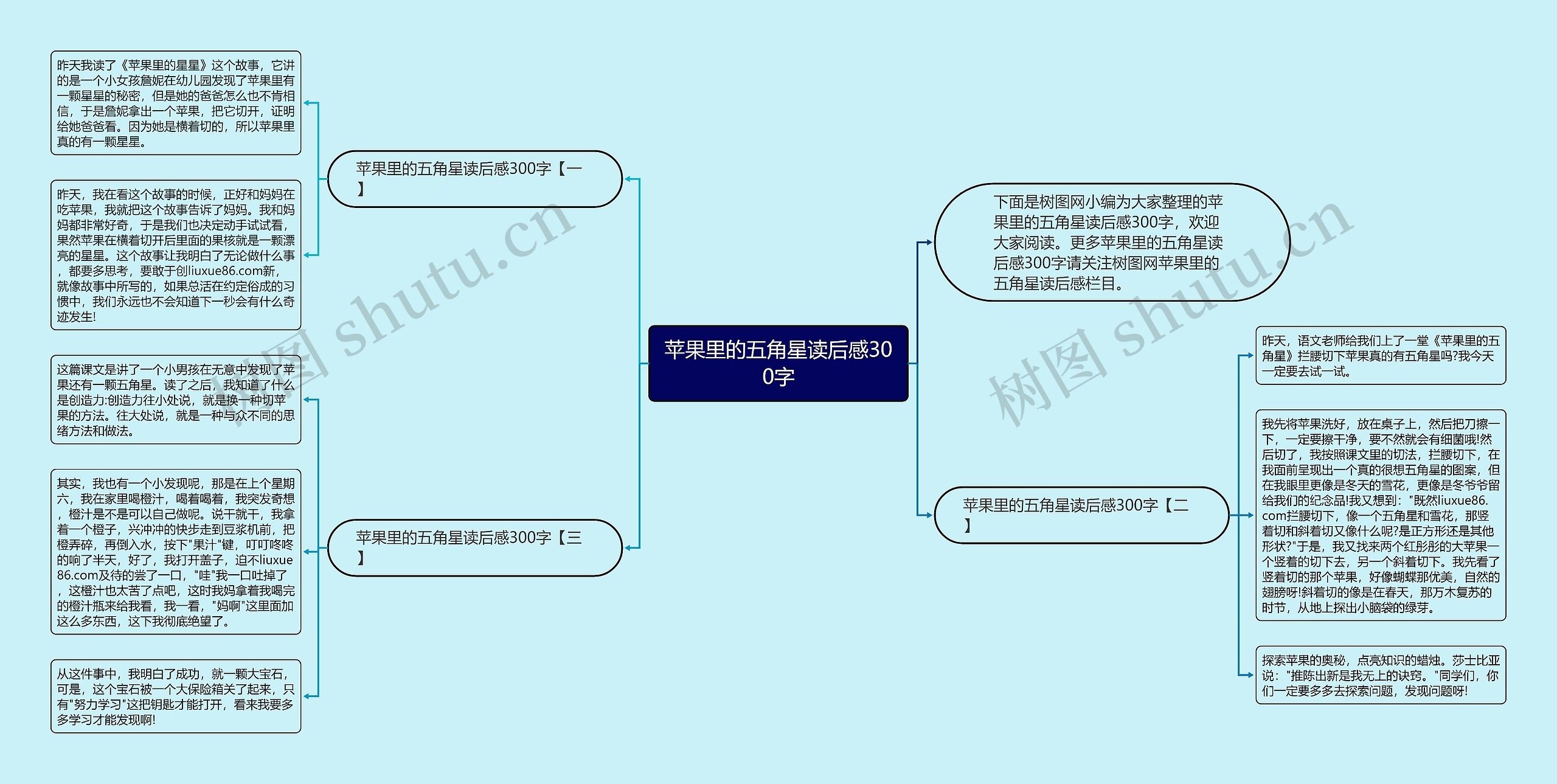 苹果里的五角星读后感300字思维导图