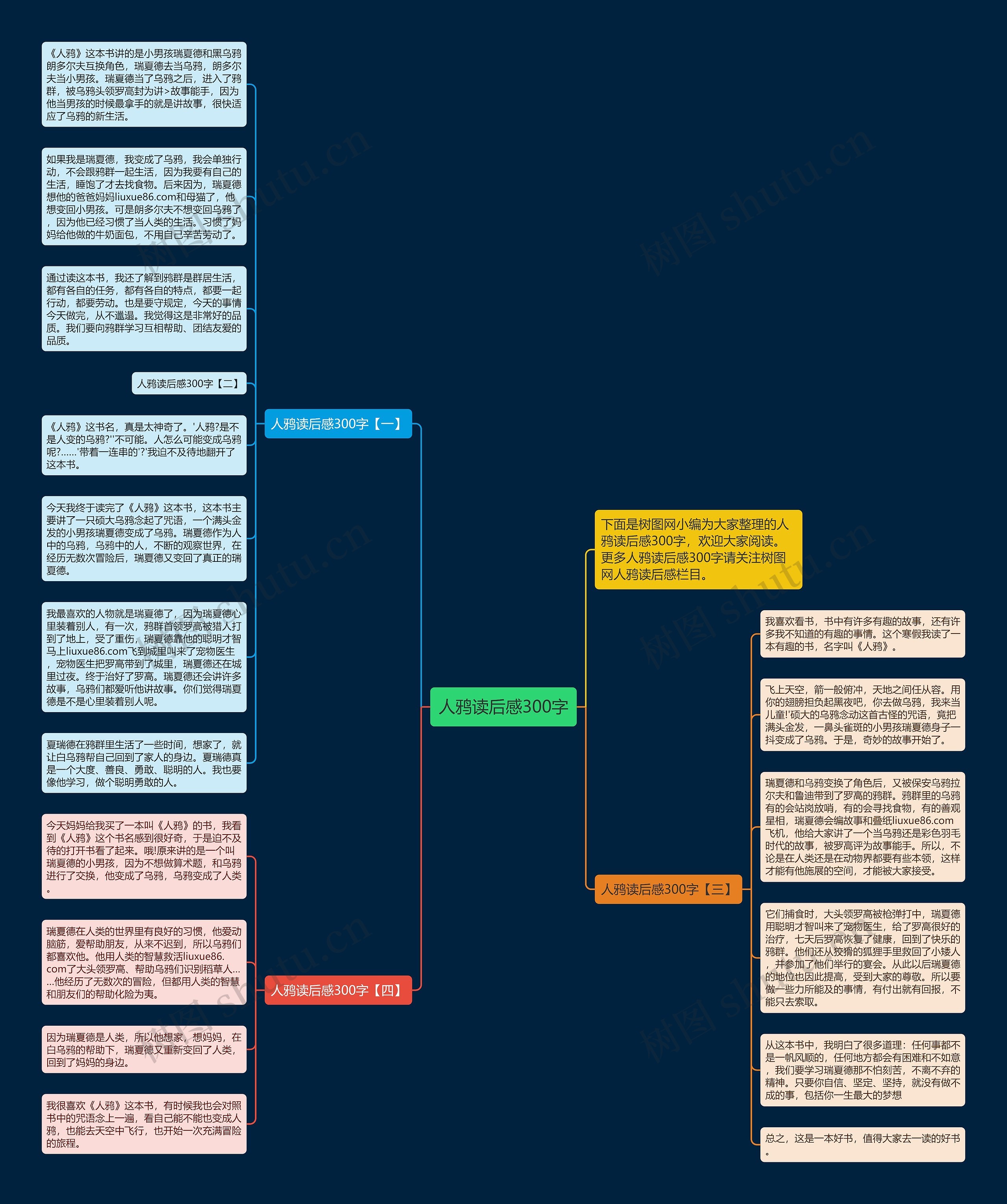 人鸦读后感300字思维导图