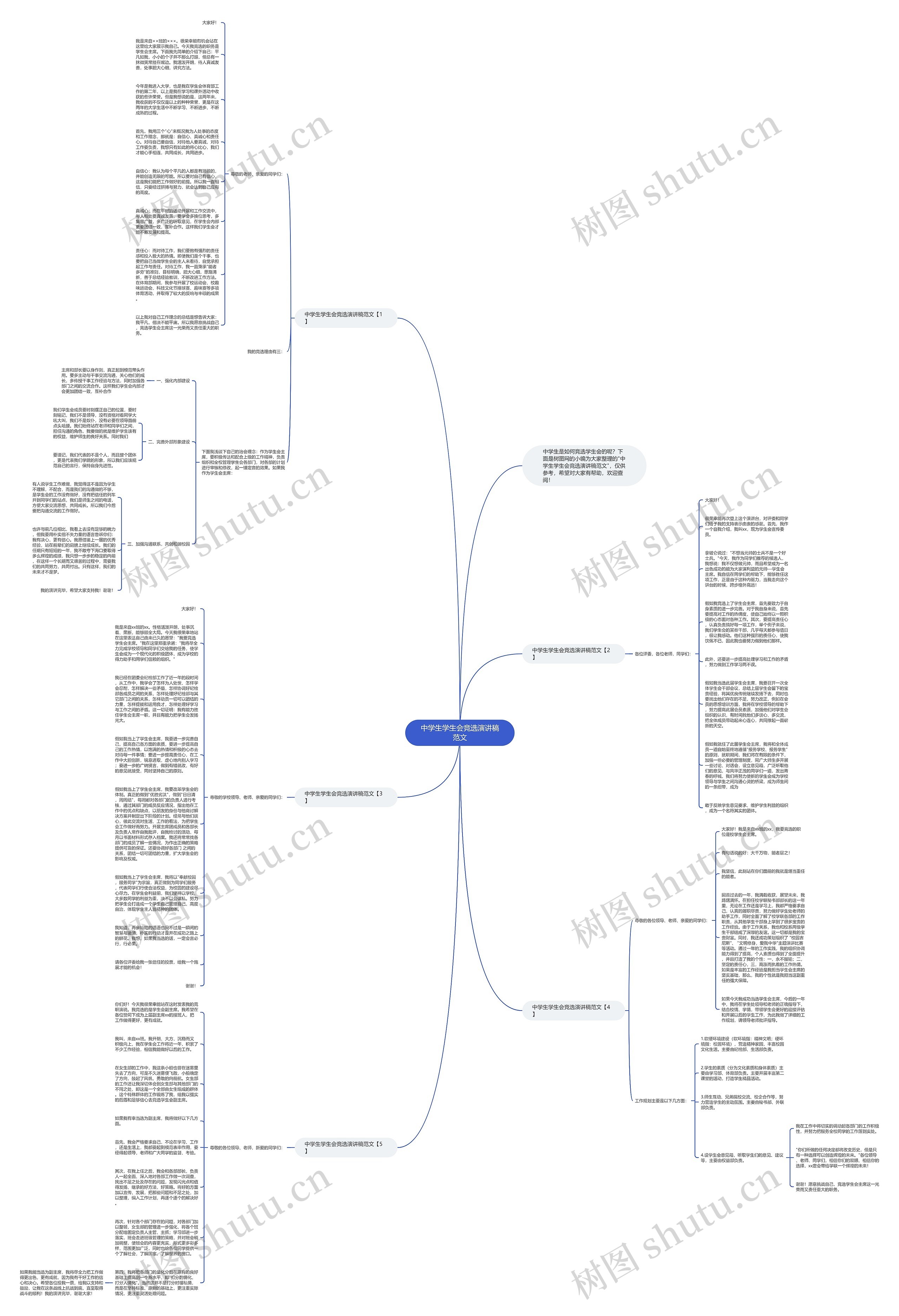 中学生学生会竞选演讲稿范文思维导图