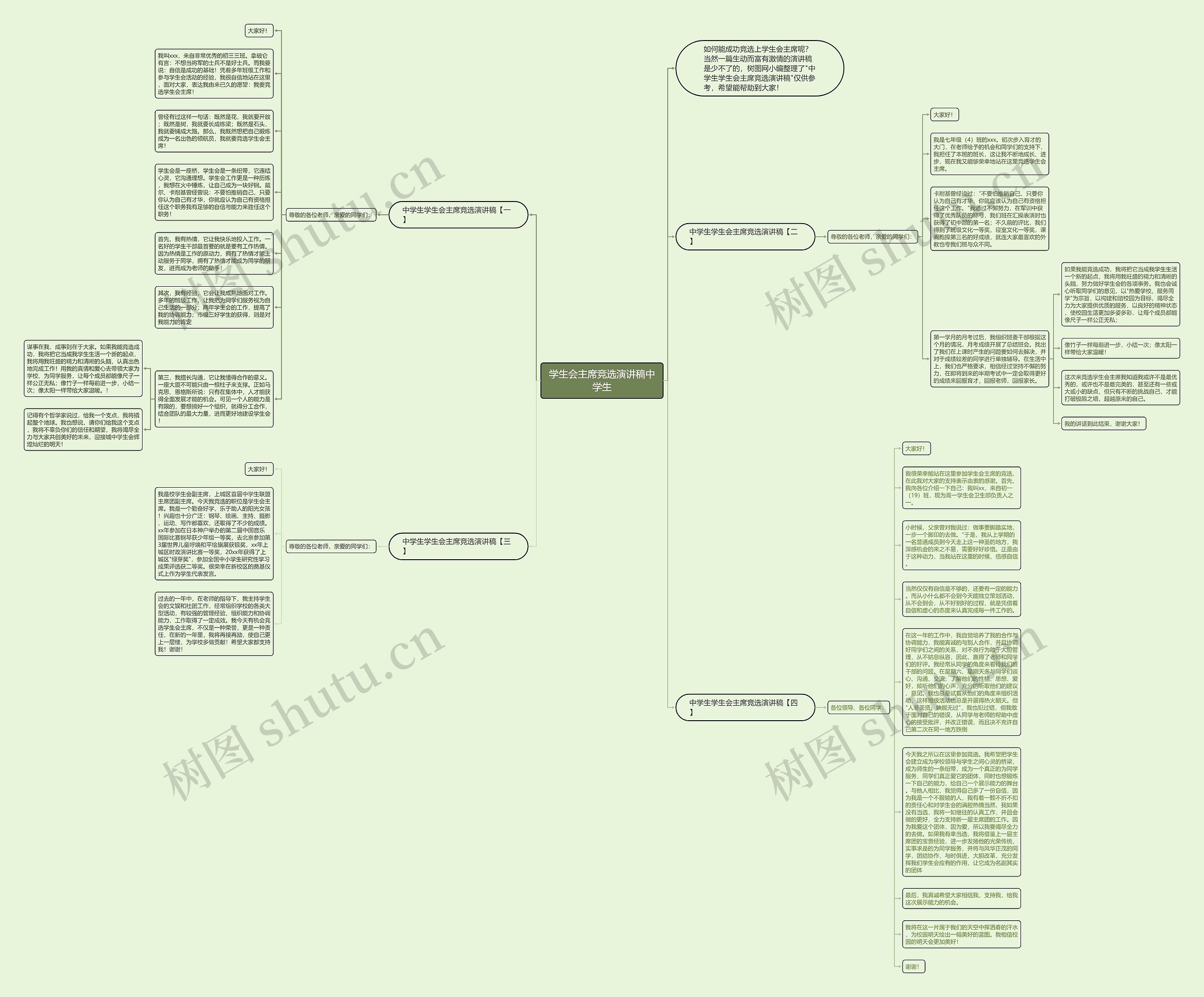 学生会主席竞选演讲稿中学生思维导图