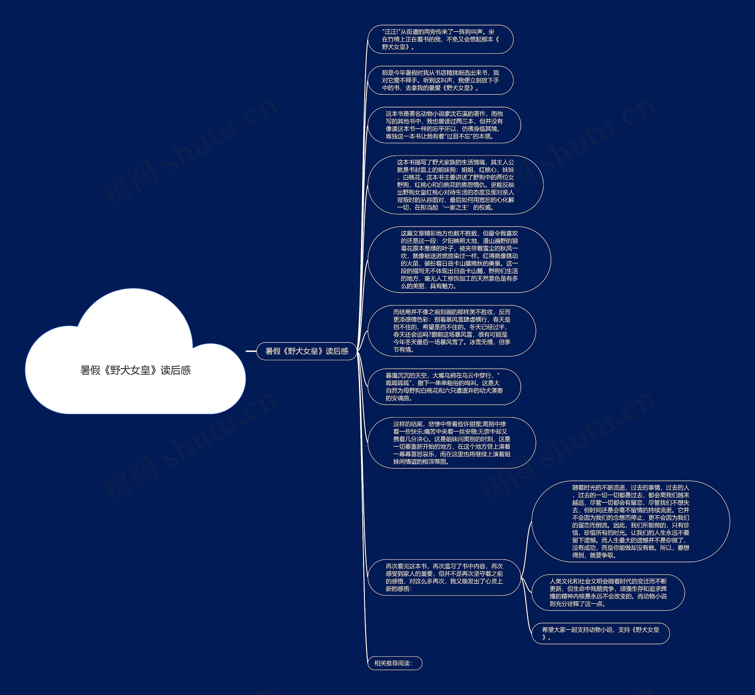 暑假《野犬女皇》读后感思维导图