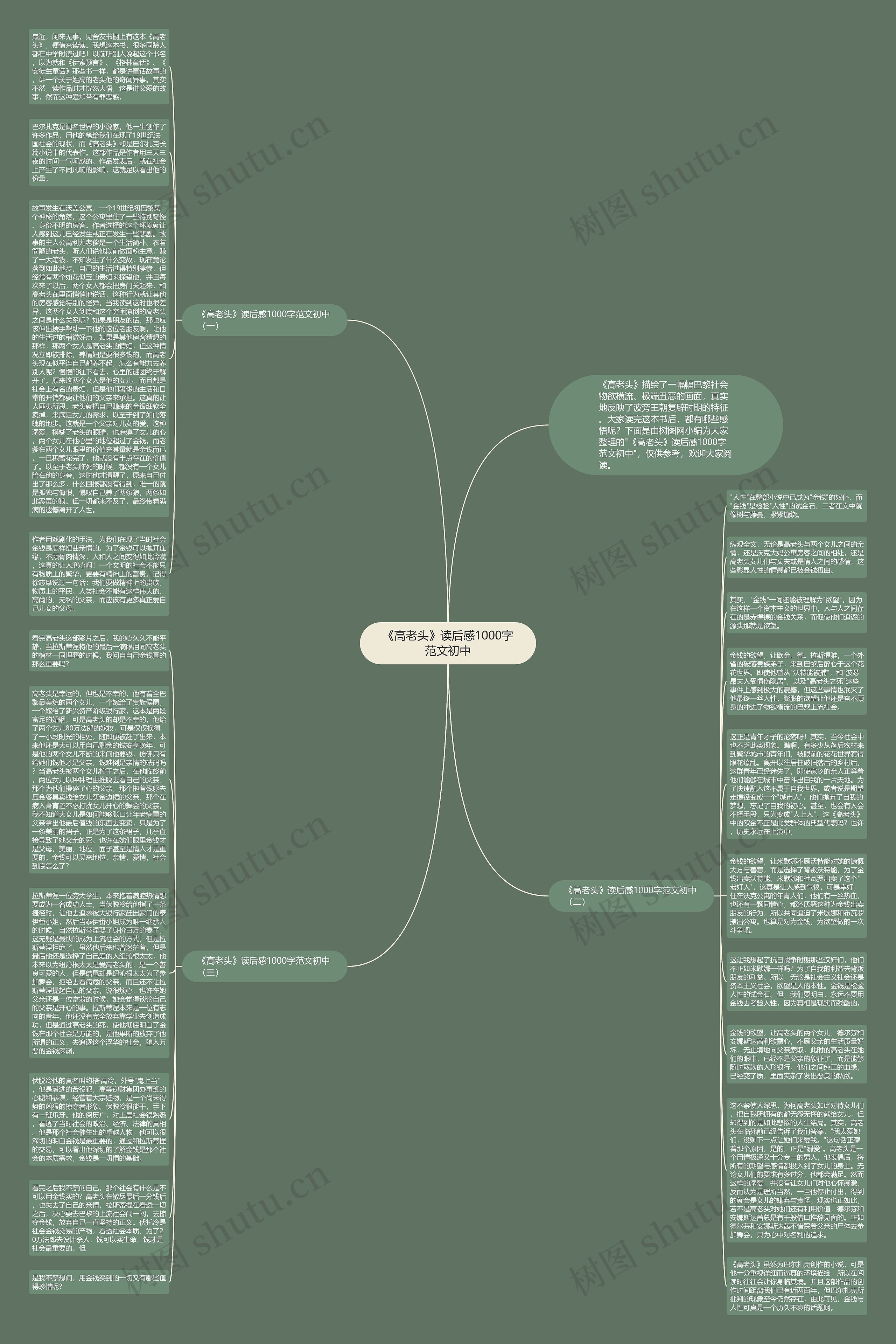 《高老头》读后感1000字范文初中思维导图