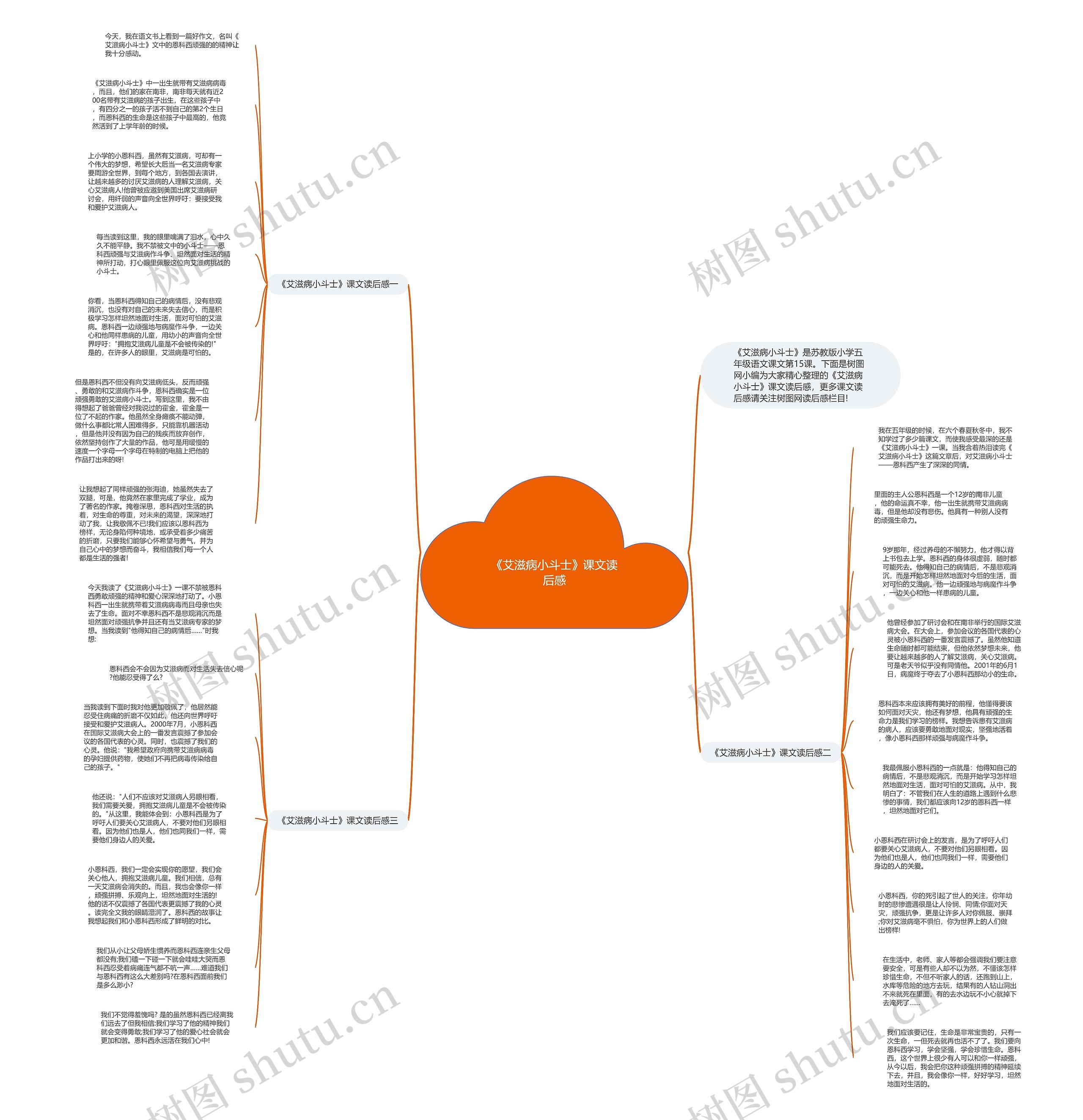 《艾滋病小斗士》课文读后感思维导图