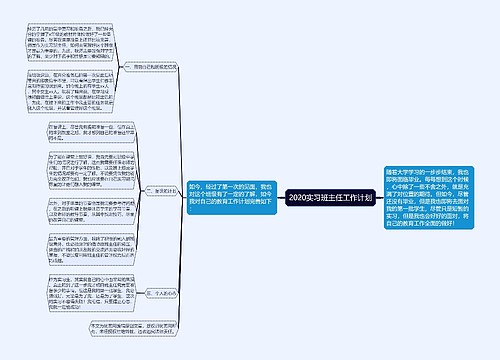 2020实习班主任工作计划