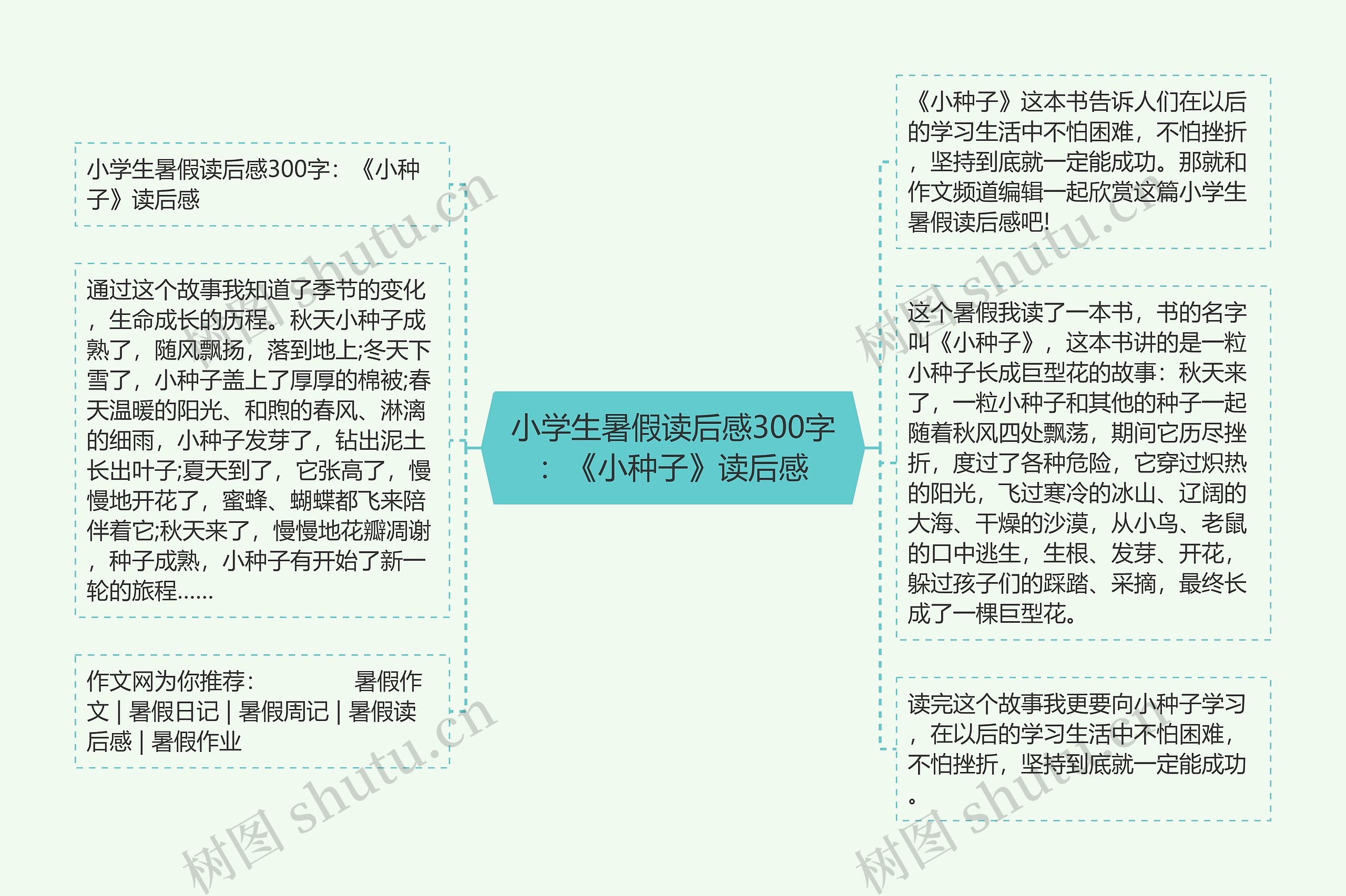 小学生暑假读后感300字：《小种子》读后感