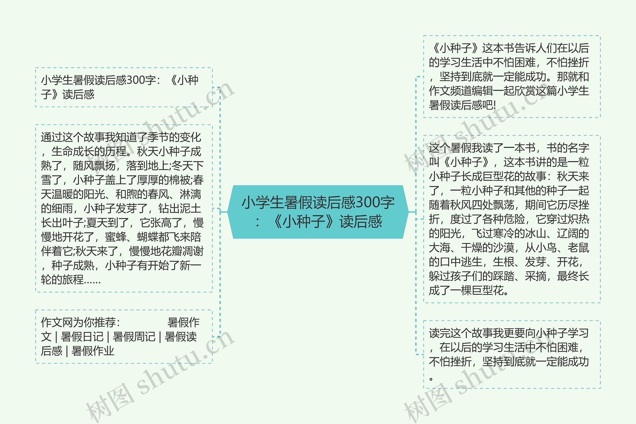 小学生暑假读后感300字：《小种子》读后感思维导图