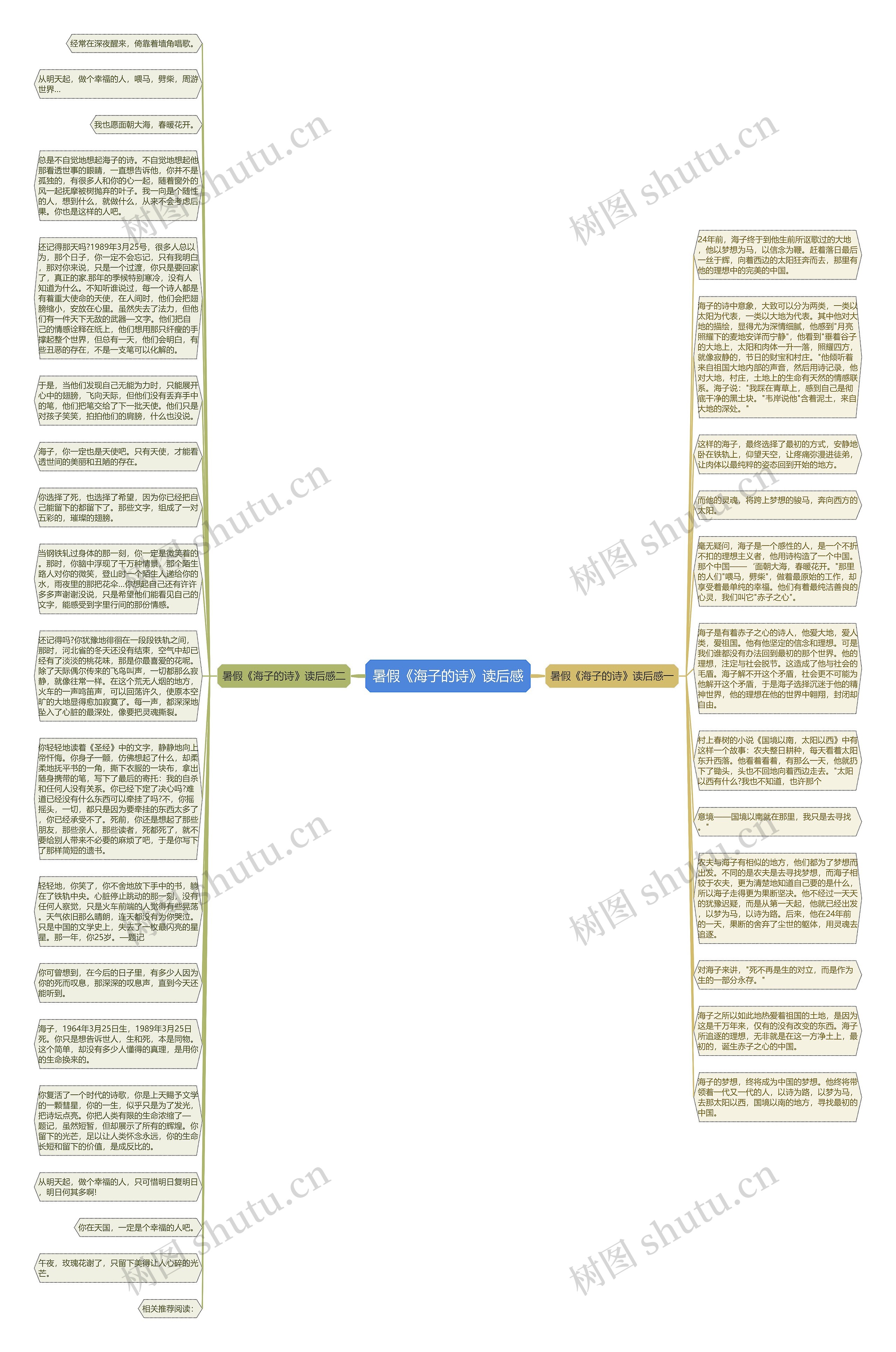暑假《海子的诗》读后感思维导图