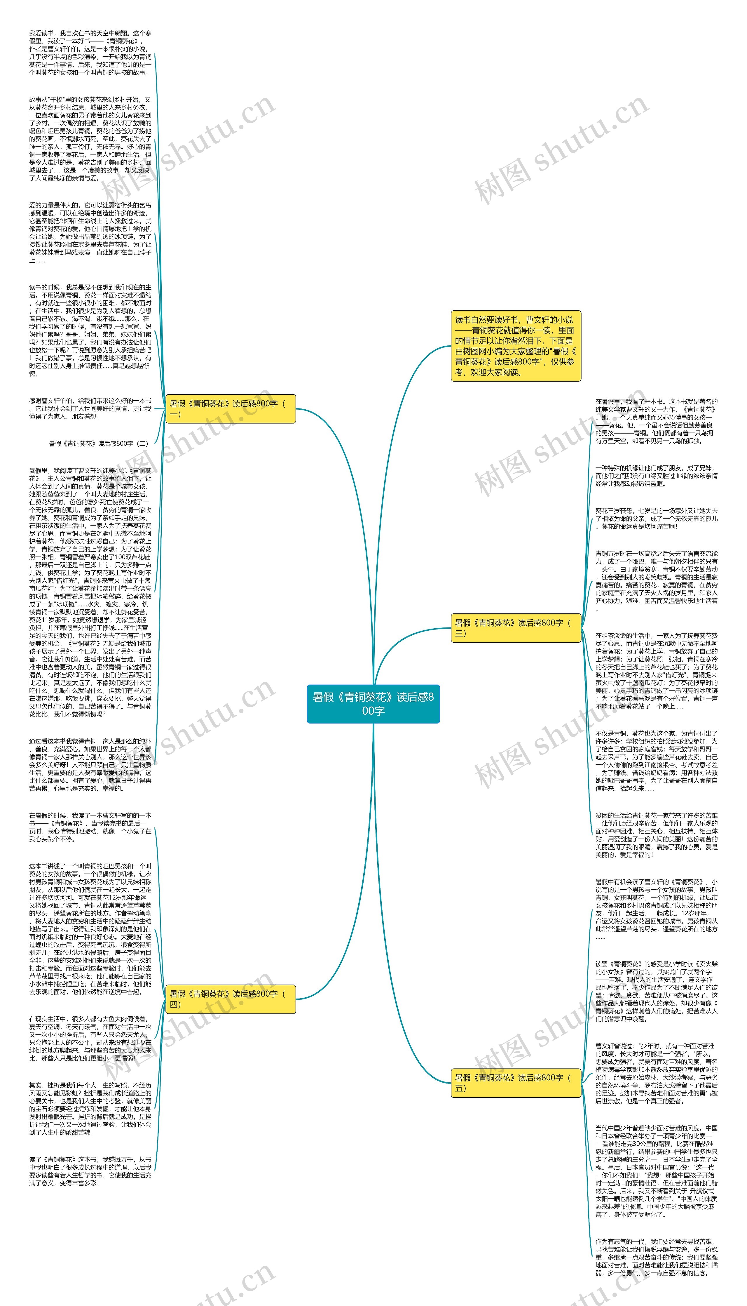 暑假《青铜葵花》读后感800字思维导图