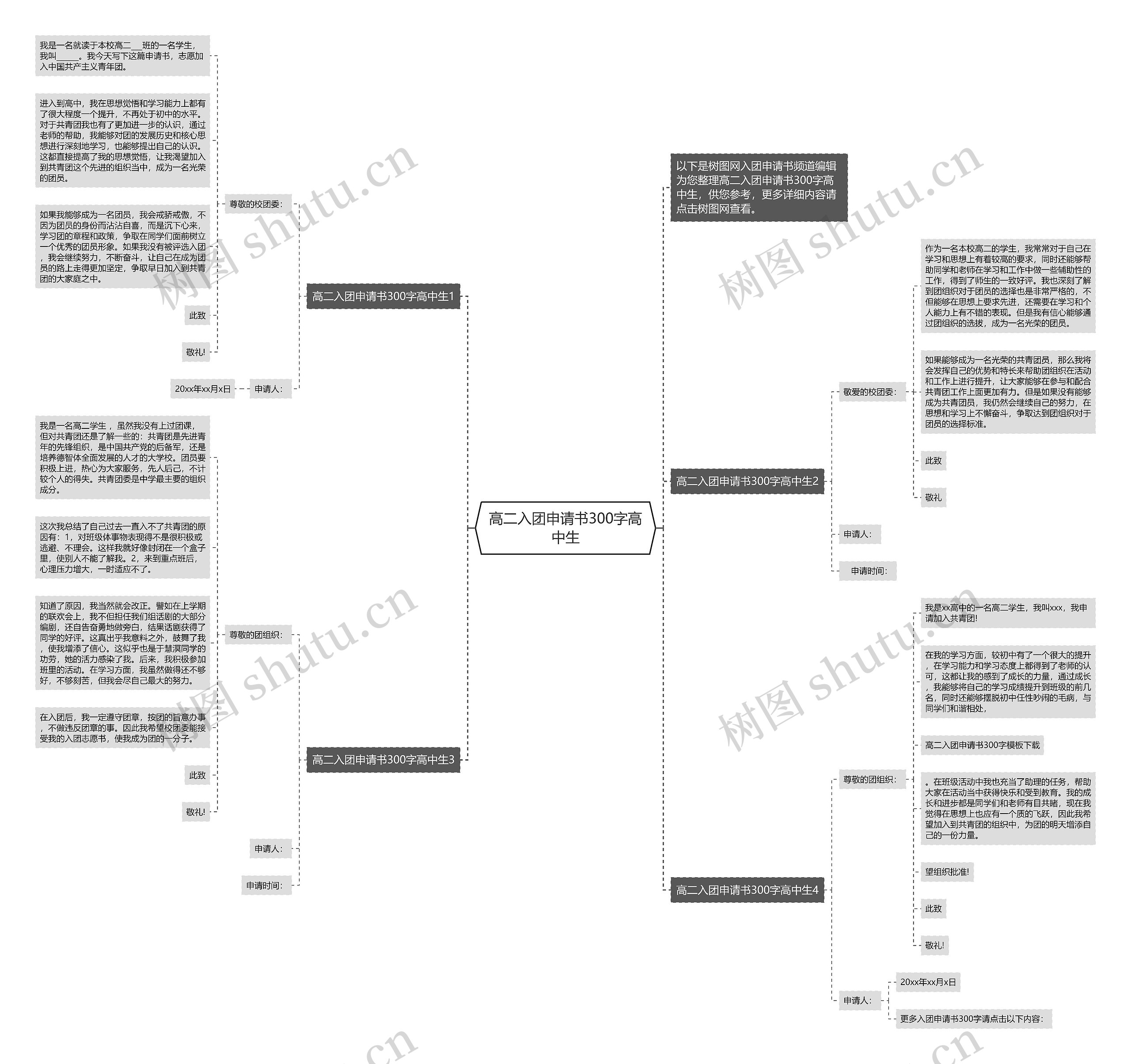 高二入团申请书300字高中生思维导图
