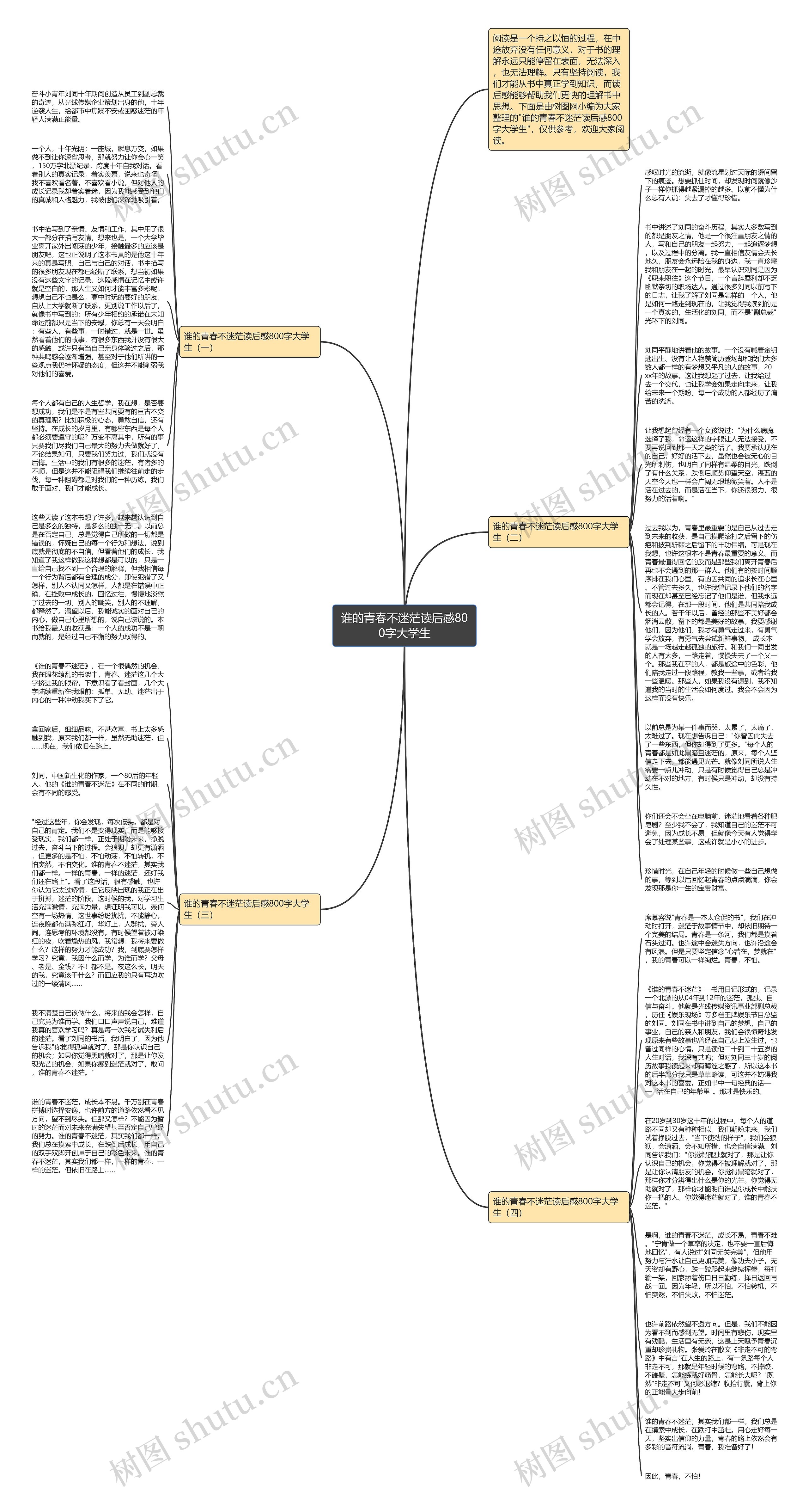 谁的青春不迷茫读后感800字大学生思维导图