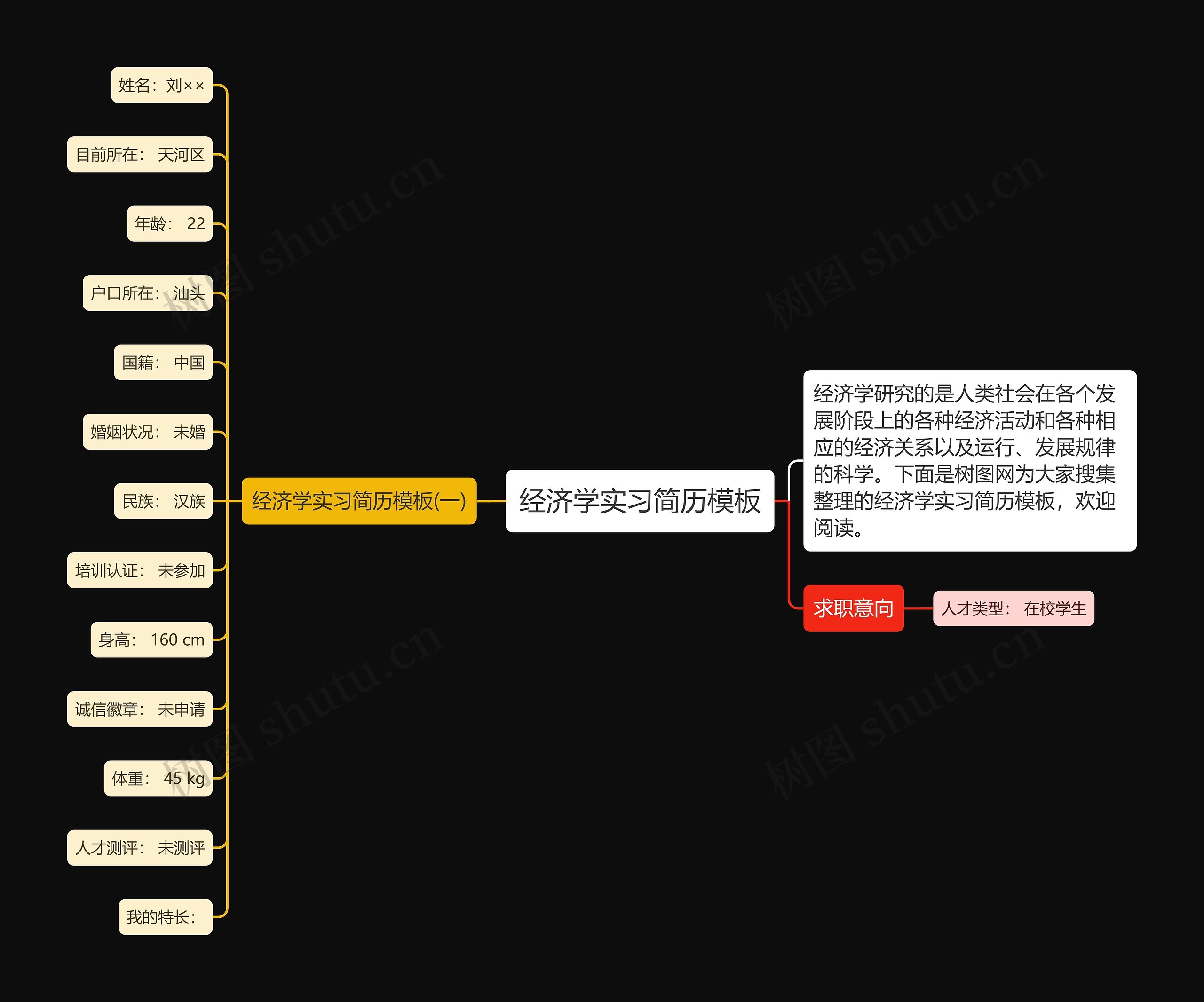 经济学实习简历思维导图