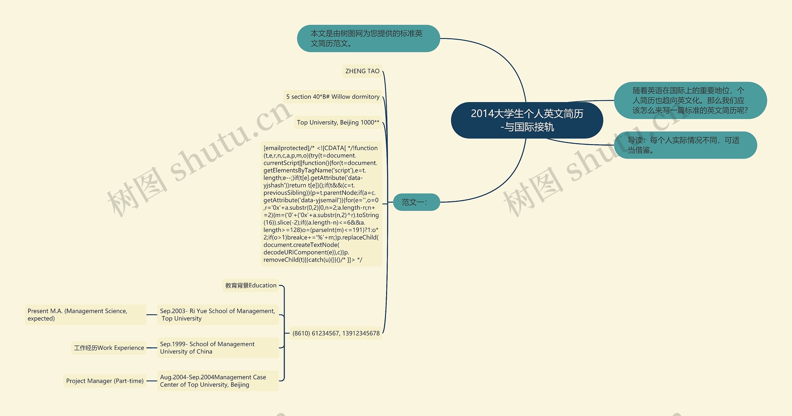 2014大学生个人英文简历-与国际接轨思维导图