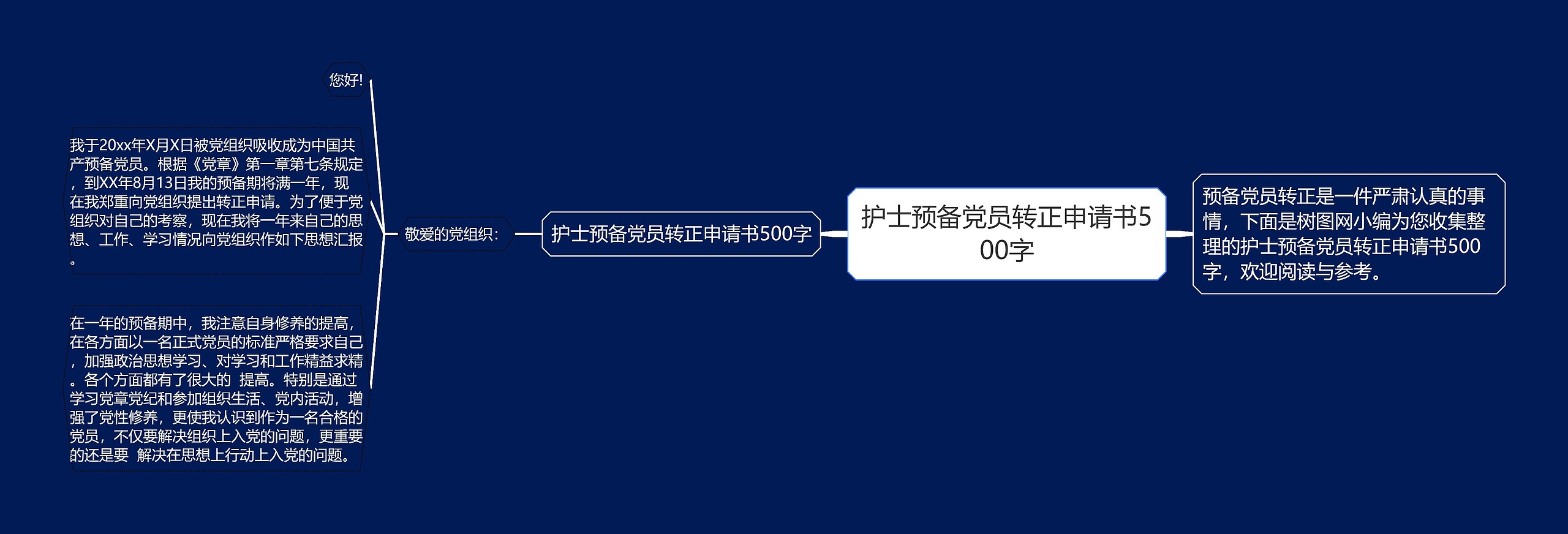 护士预备党员转正申请书500字思维导图