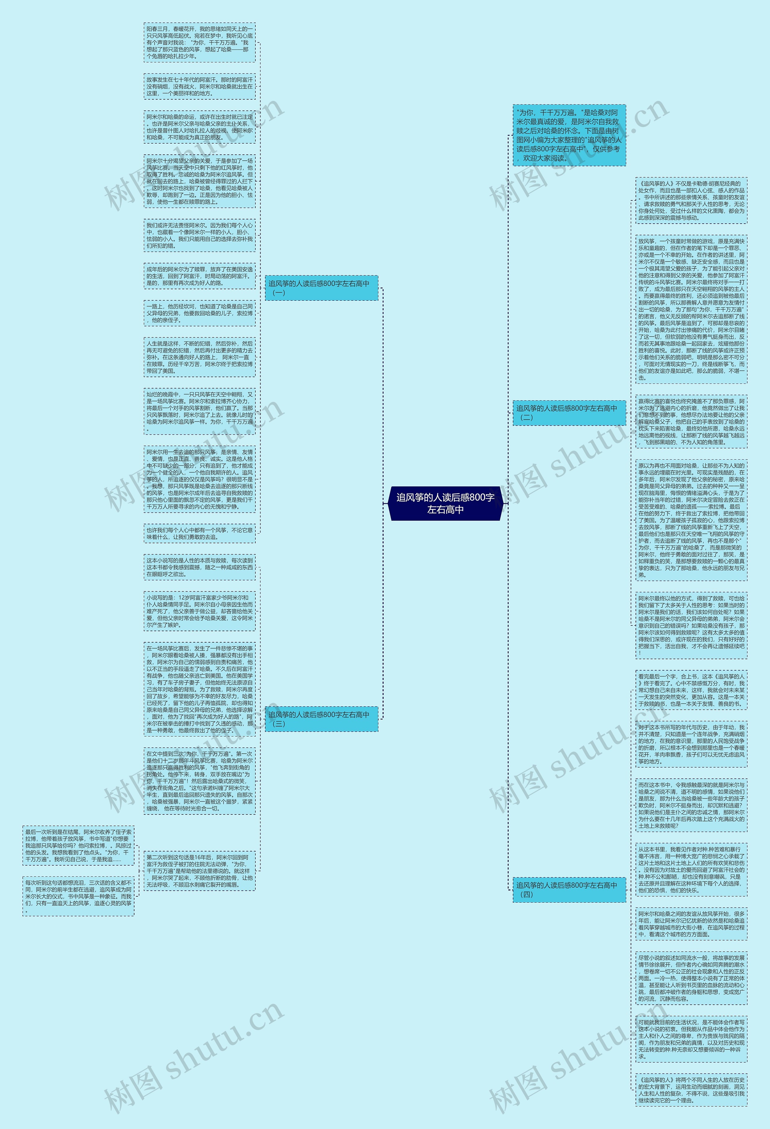 追风筝的人读后感800字左右高中思维导图