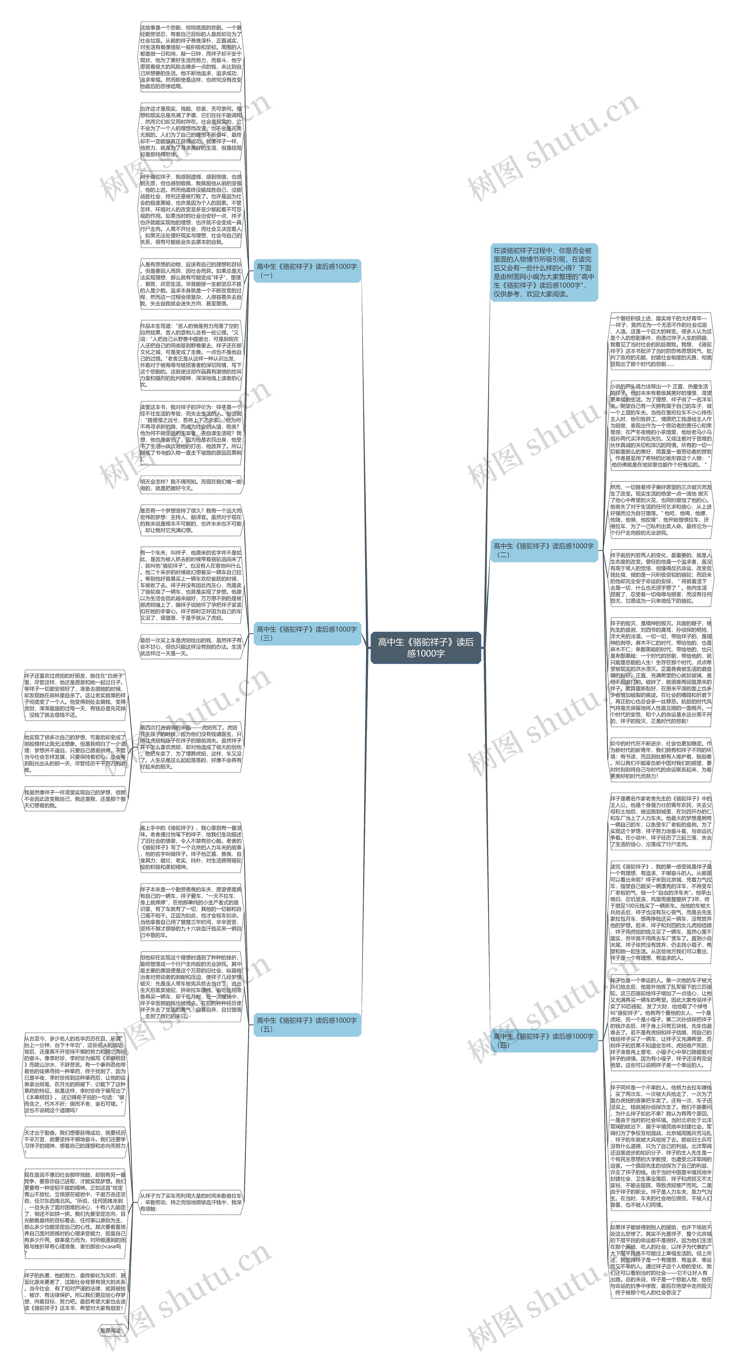 高中生《骆驼祥子》读后感1000字思维导图