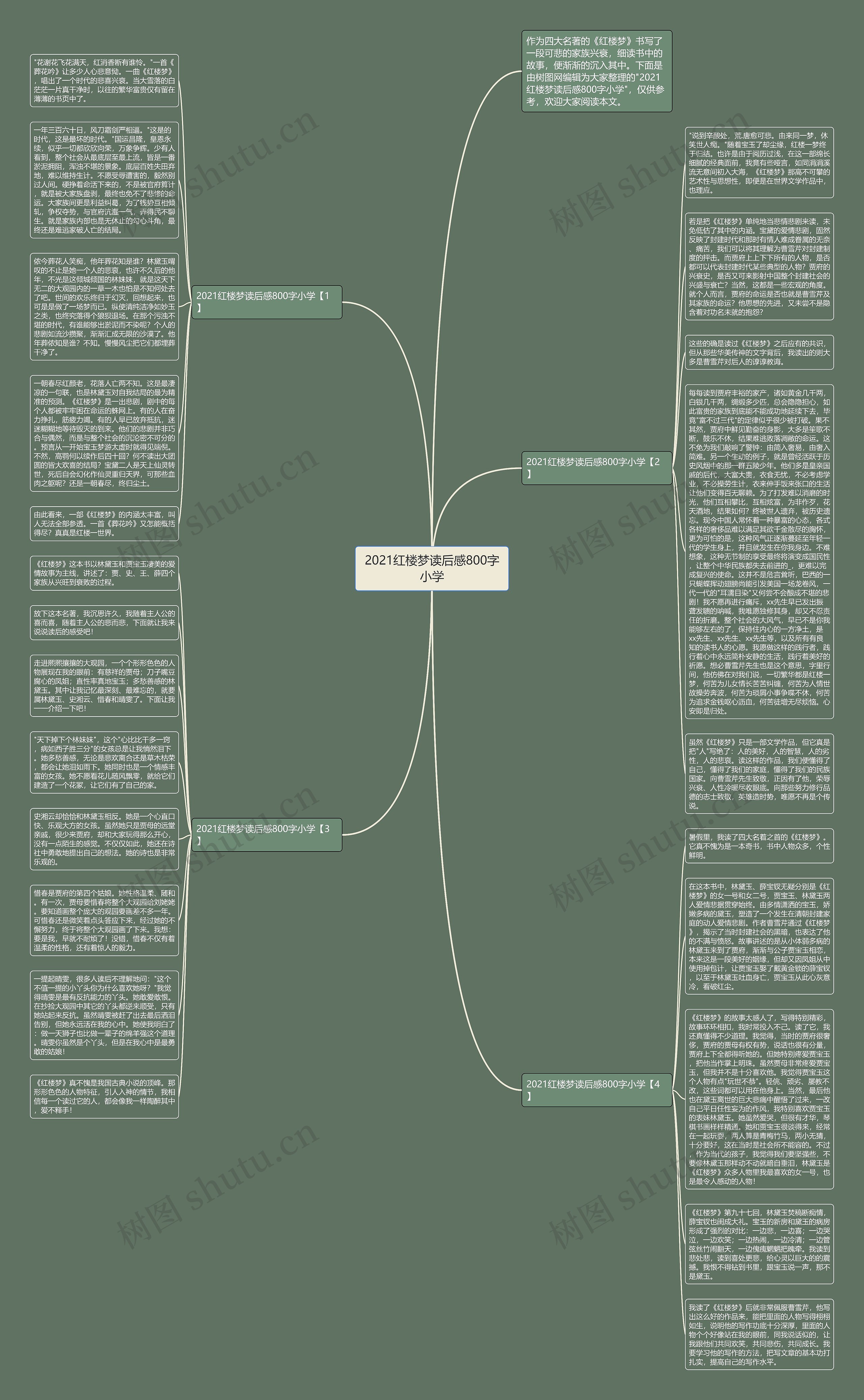 2021红楼梦读后感800字小学