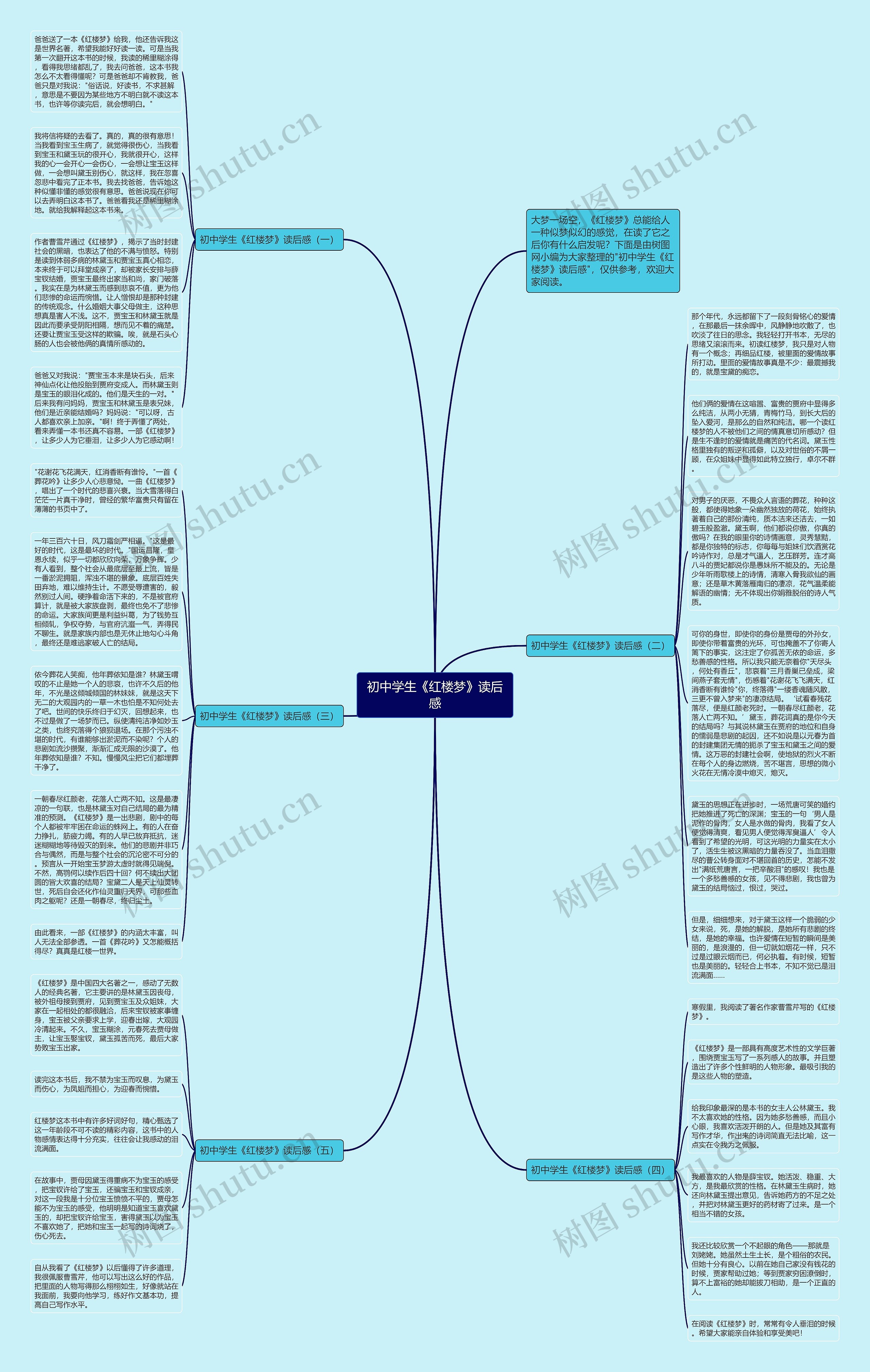 初中学生《红楼梦》读后感
