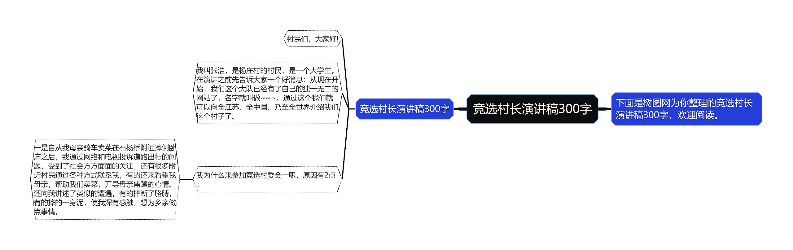 竞选村长演讲稿300字思维导图