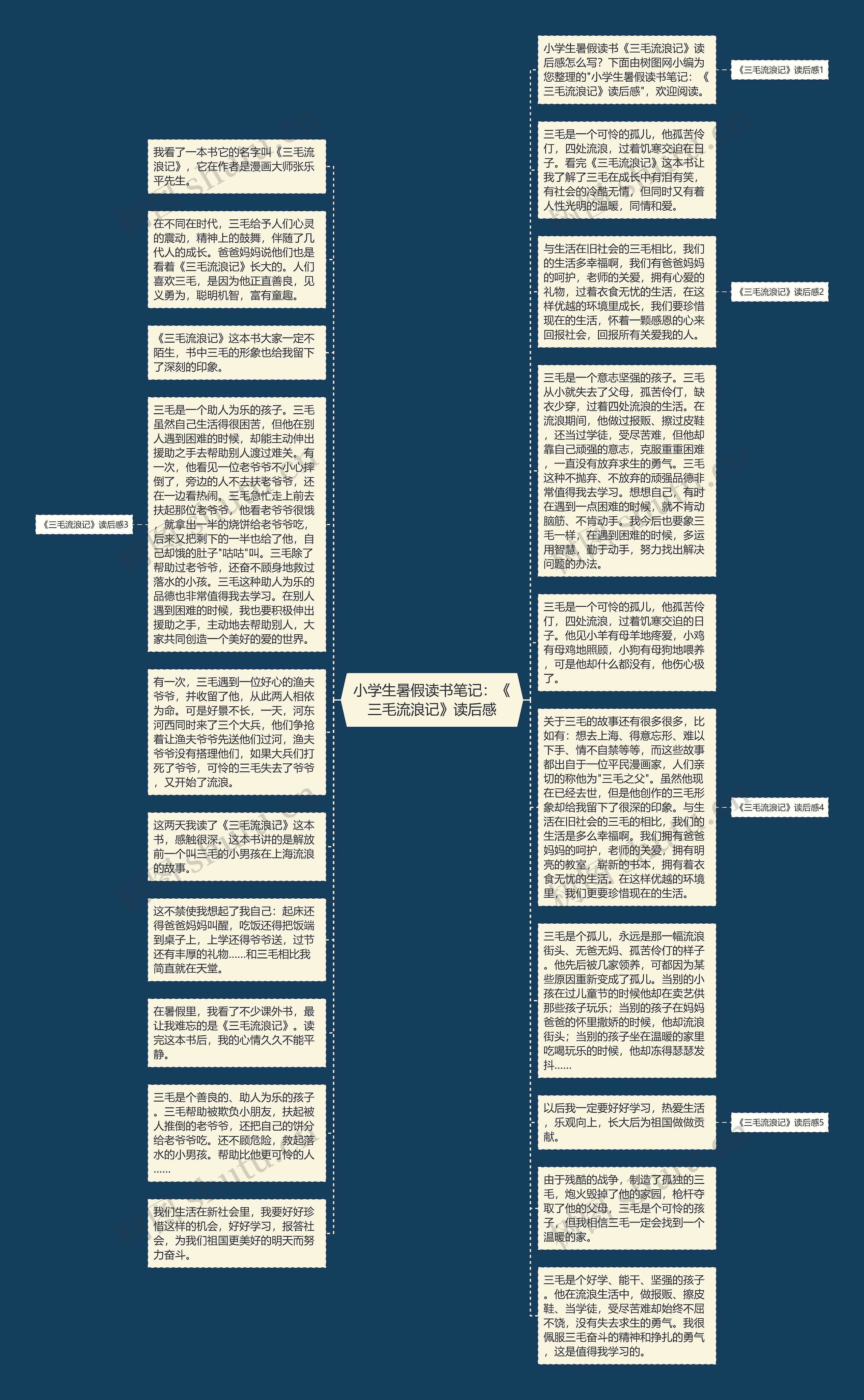 小学生暑假读书笔记：《三毛流浪记》读后感