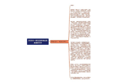 2020大一新生迎新晚会发言稿800字