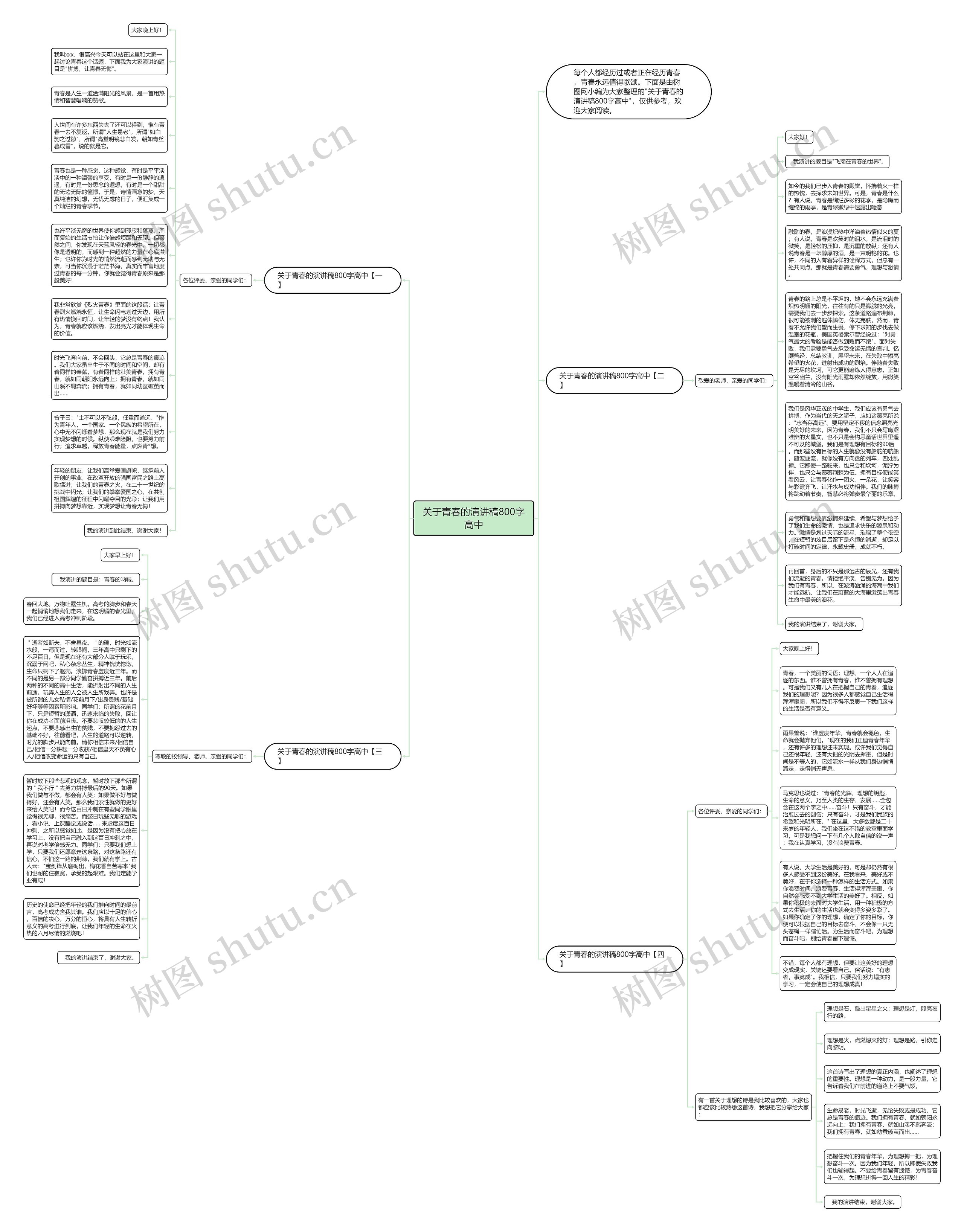 关于青春的演讲稿800字高中思维导图