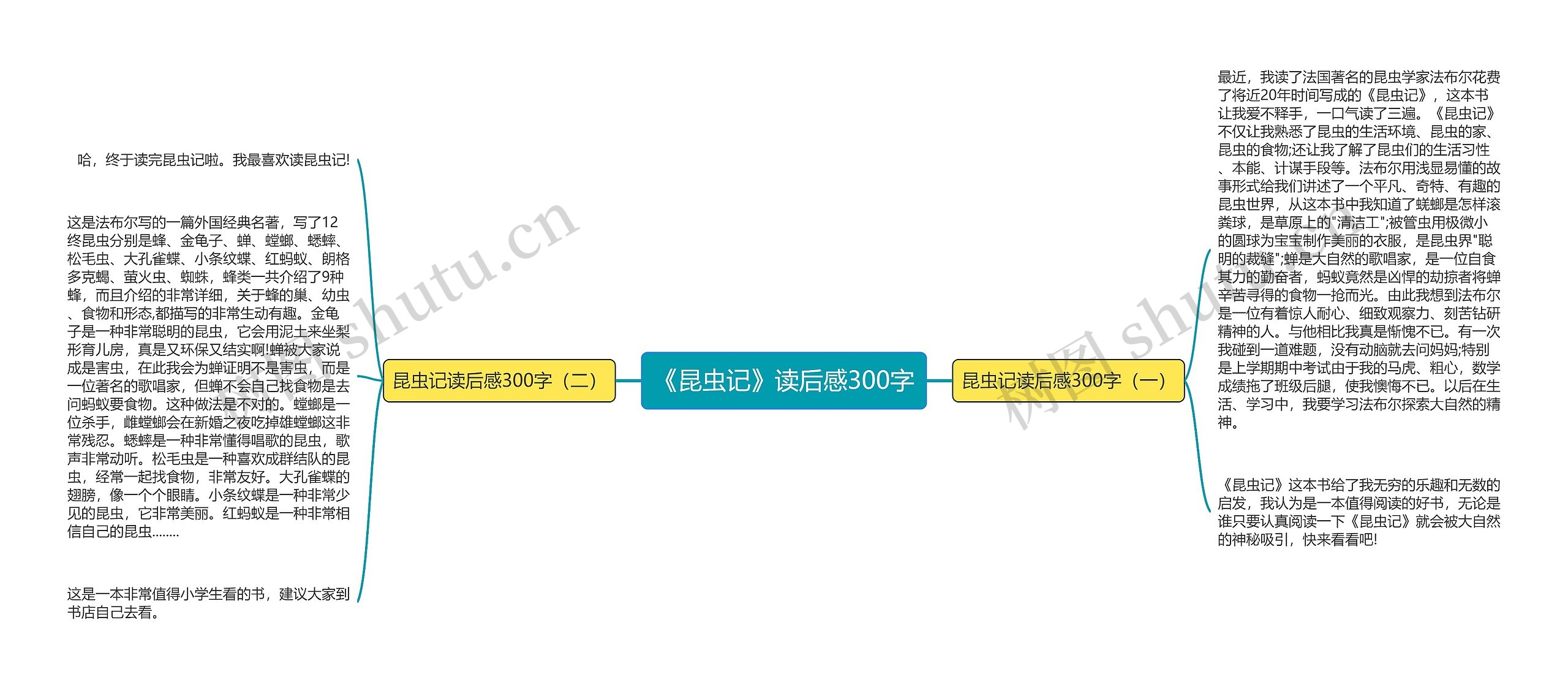 《昆虫记》读后感300字思维导图