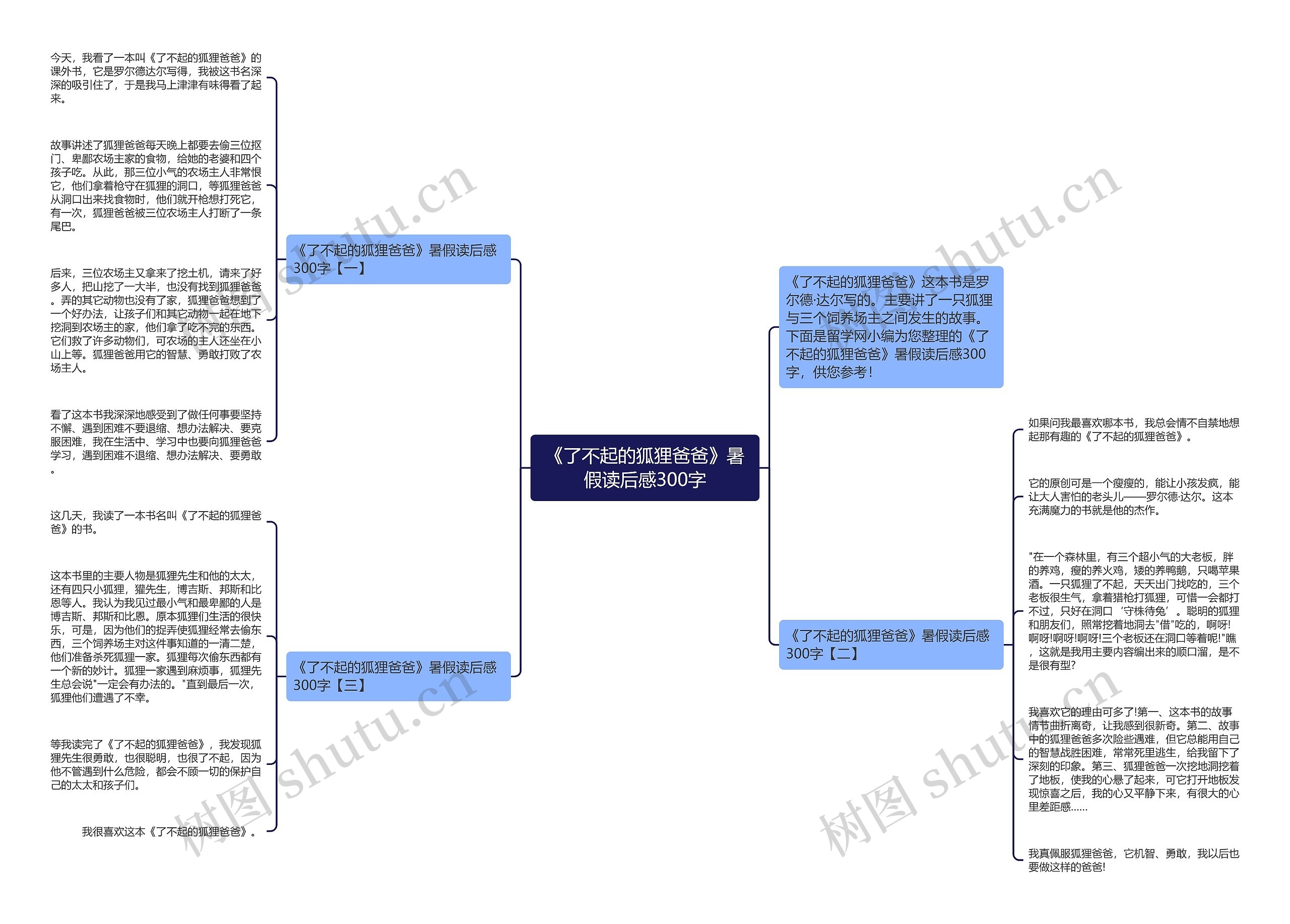 《了不起的狐狸爸爸》暑假读后感300字