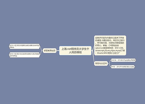 上海.net程序员大学生个人简历模板