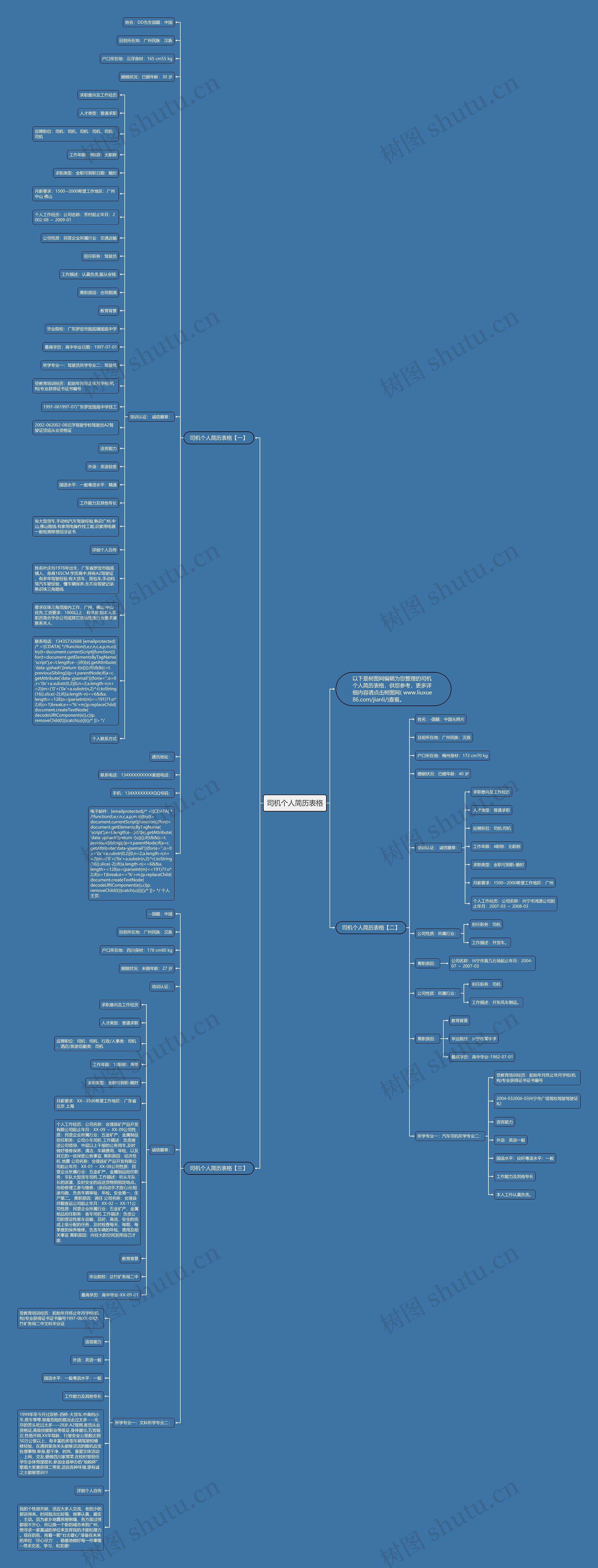 司机个人简历表格思维导图