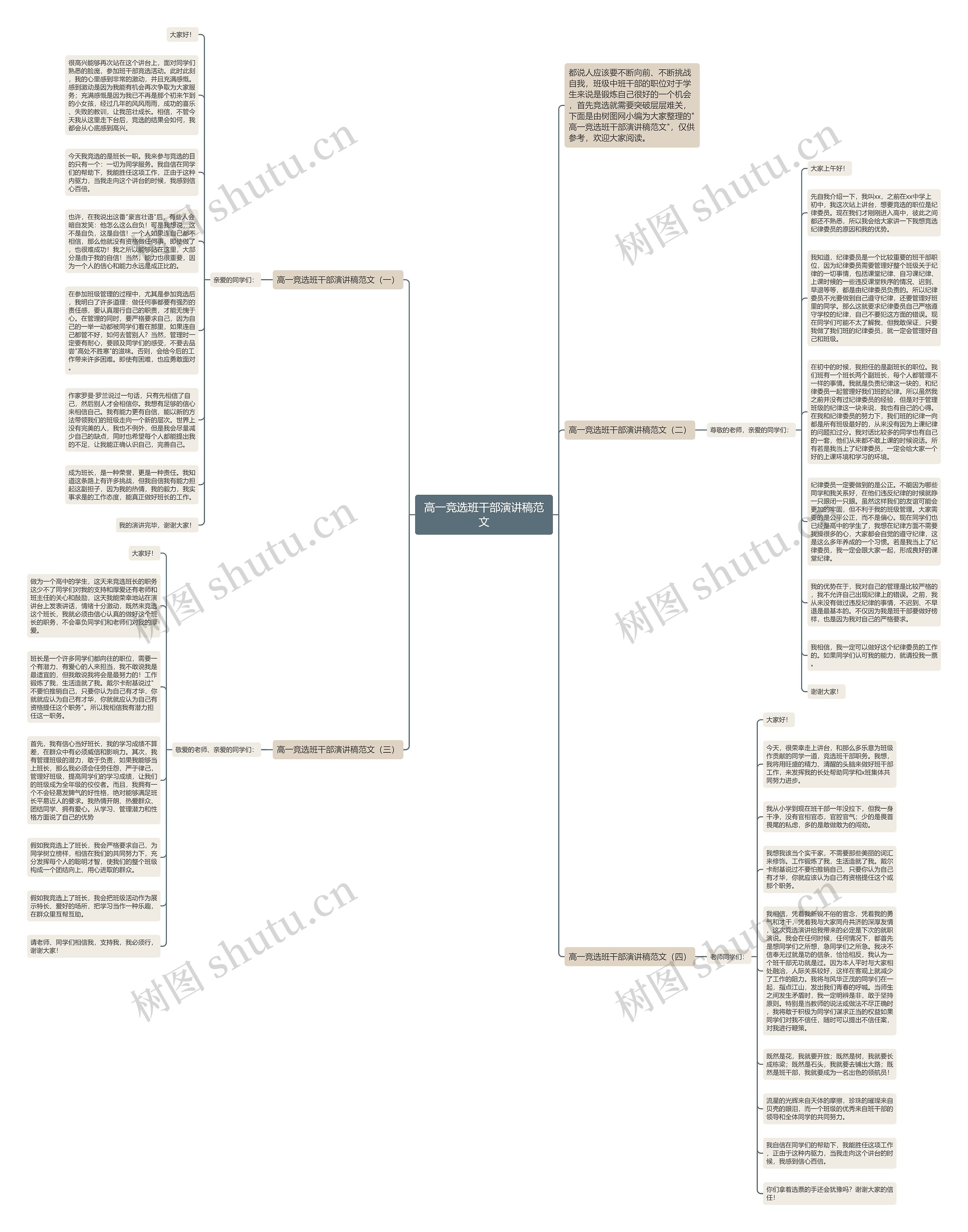 高一竞选班干部演讲稿范文思维导图
