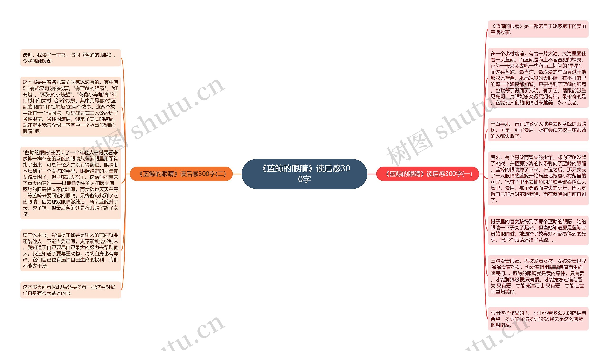 《蓝鲸的眼睛》读后感300字思维导图